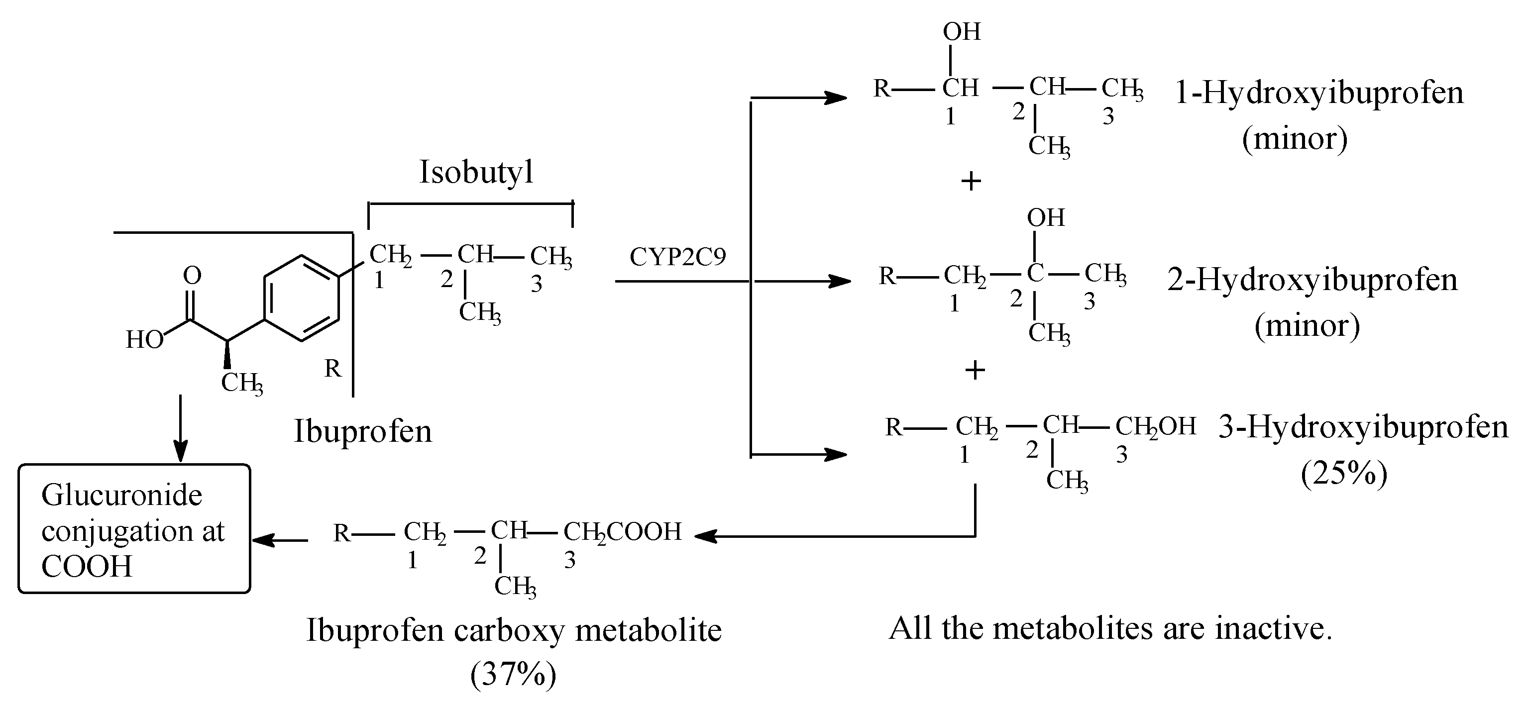 Molecules 25 01937 g003 Molecules 25 01937 g003