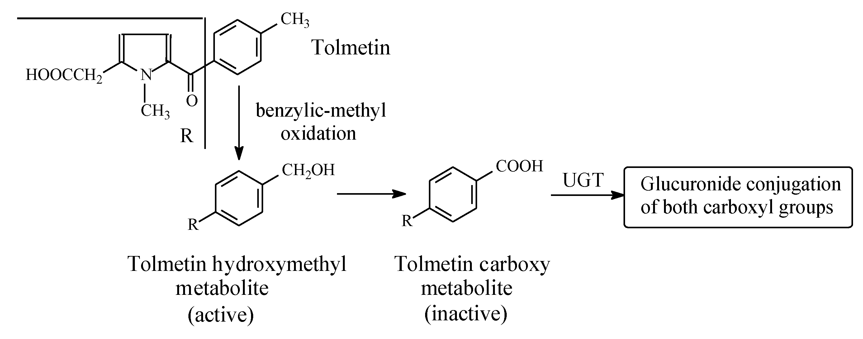 Molecules 25 01937 g004 Molecules 25 01937 g004