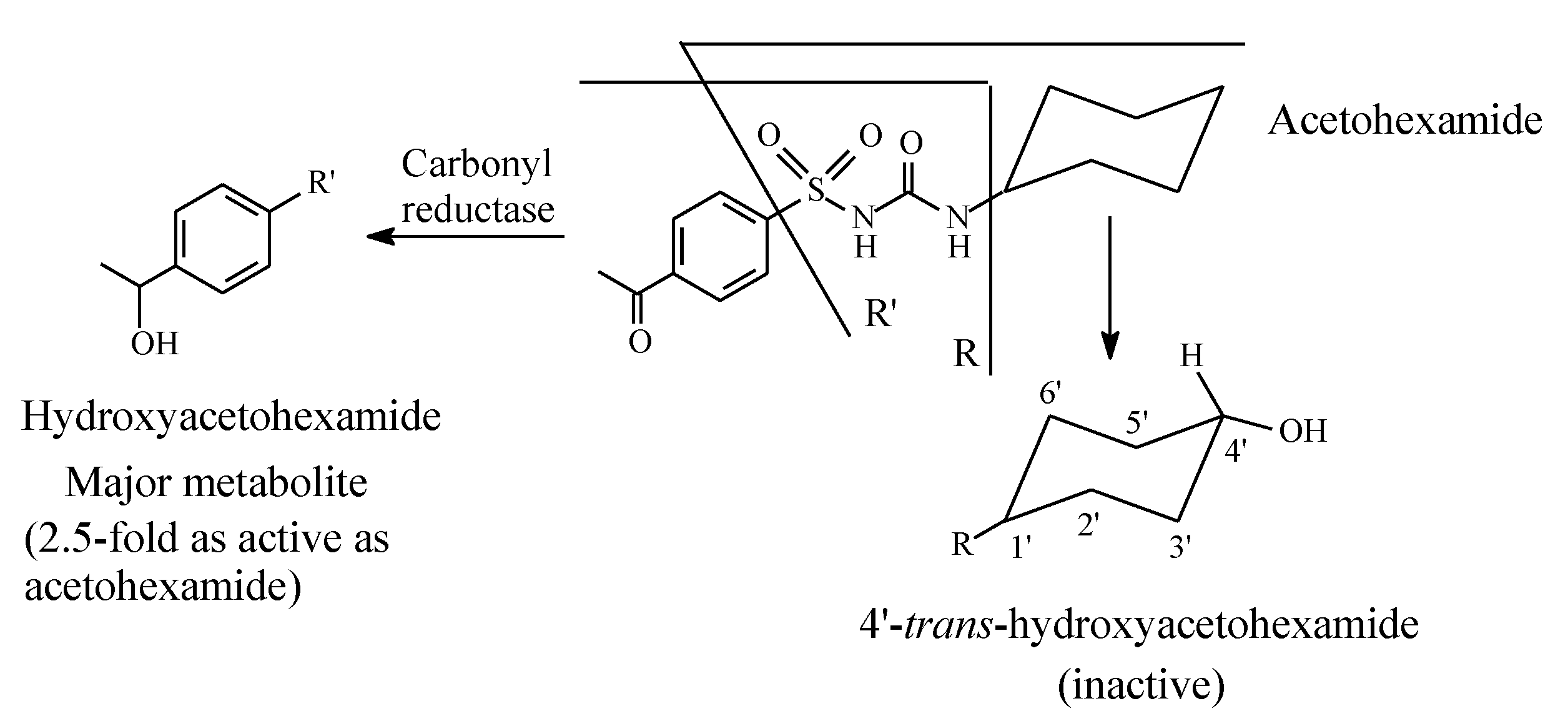 Molecules 25 01937 g006 Molecules 25 01937 g006