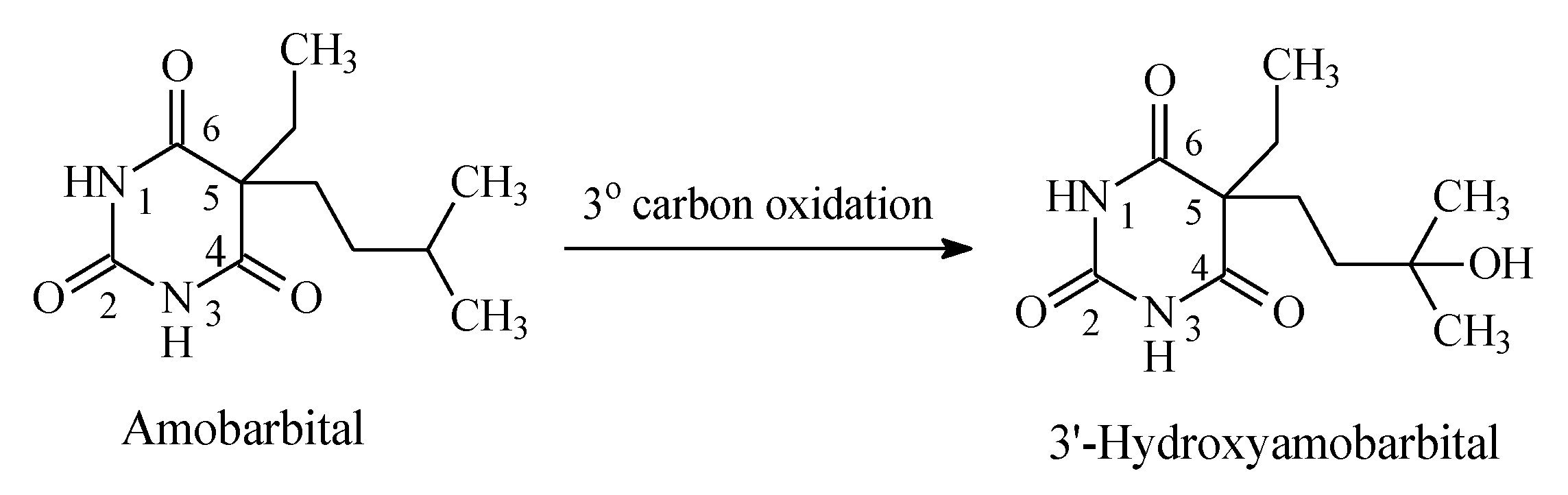 Molecules 25 01937 g014 Molecules 25 01937 g014