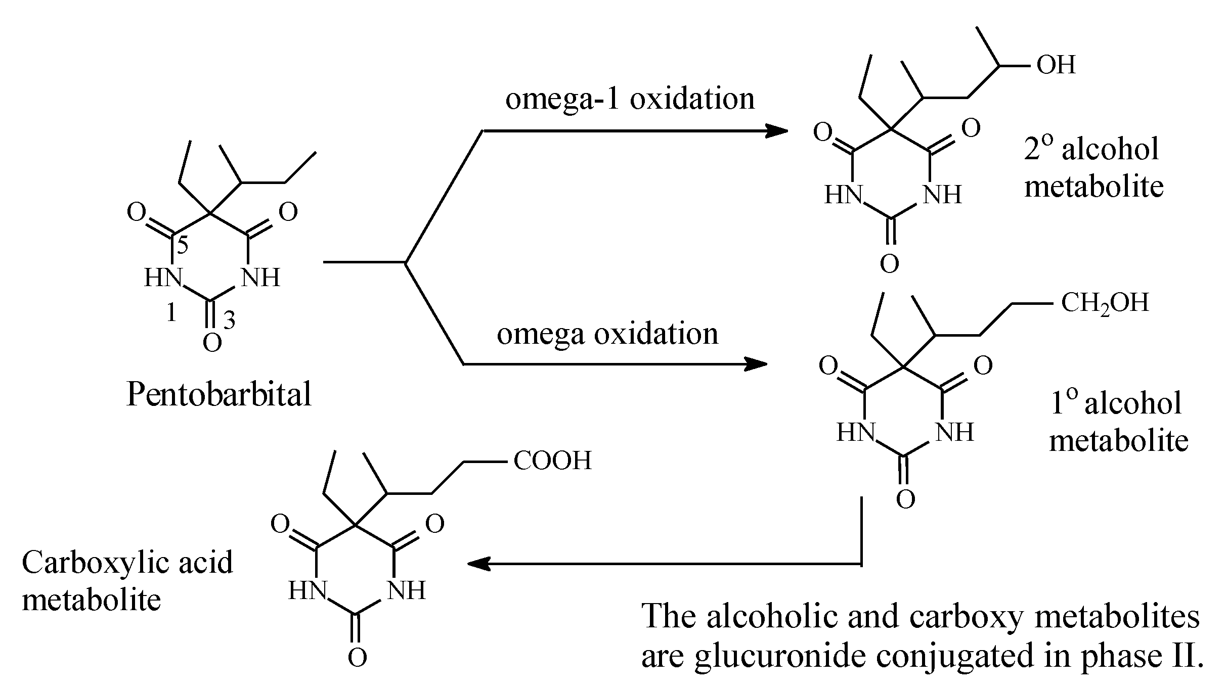 Molecules 25 01937 g015 Molecules 25 01937 g015