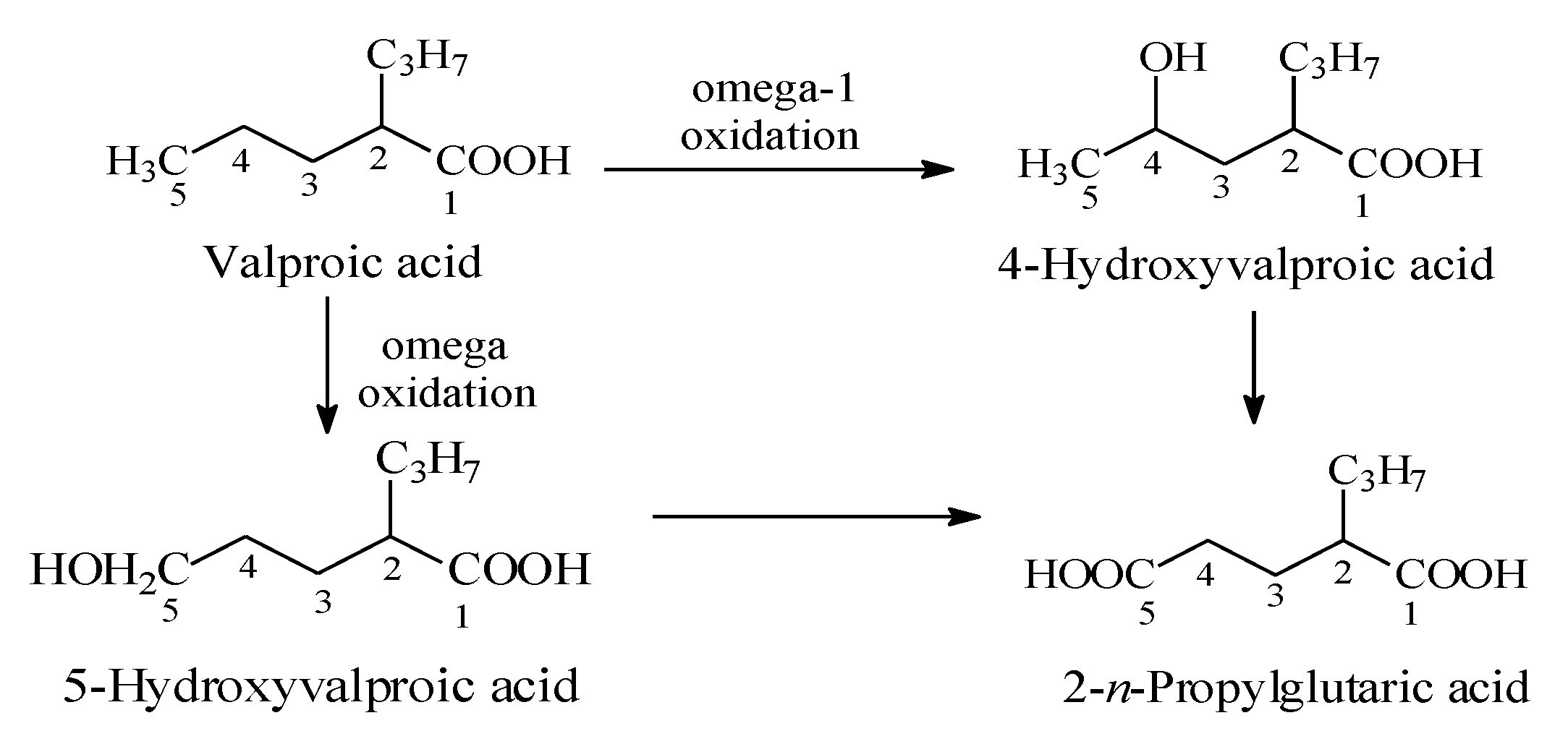 Molecules 25 01937 g016 Molecules 25 01937 g016