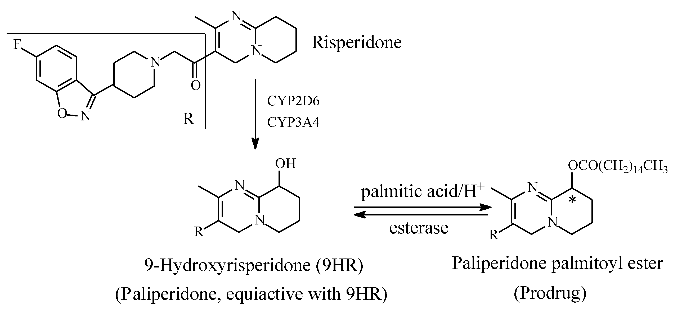 Molecules 25 01937 g017 Molecules 25 01937 g017