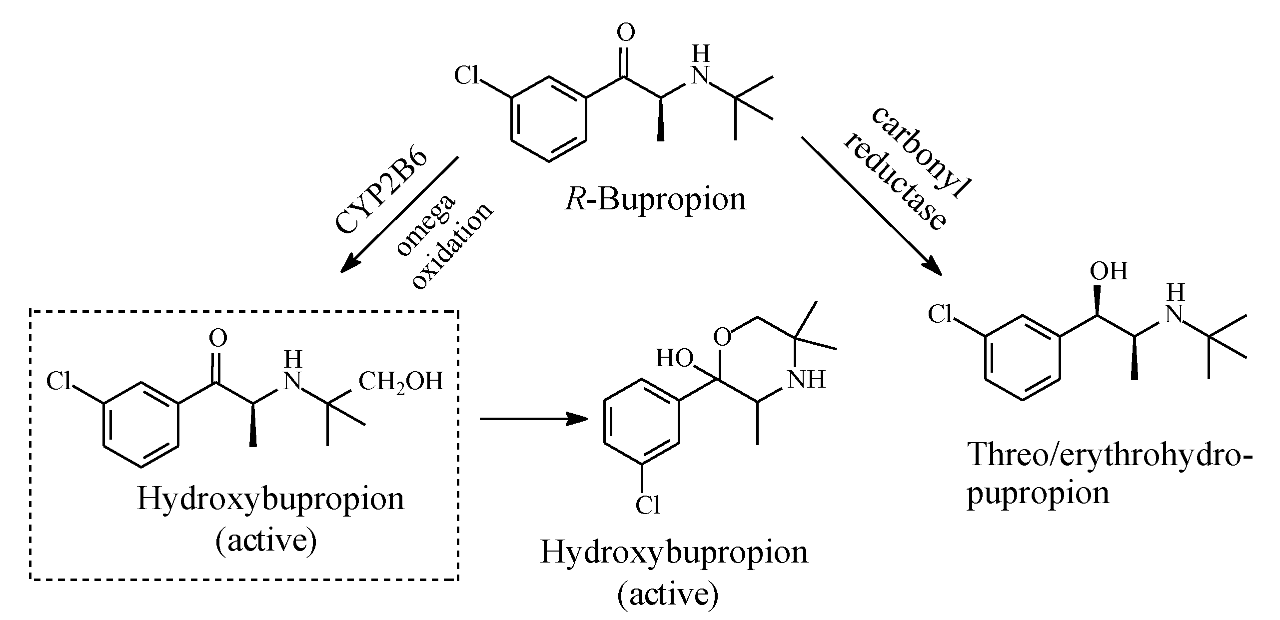 Molecules 25 01937 g018 Molecules 25 01937 g018