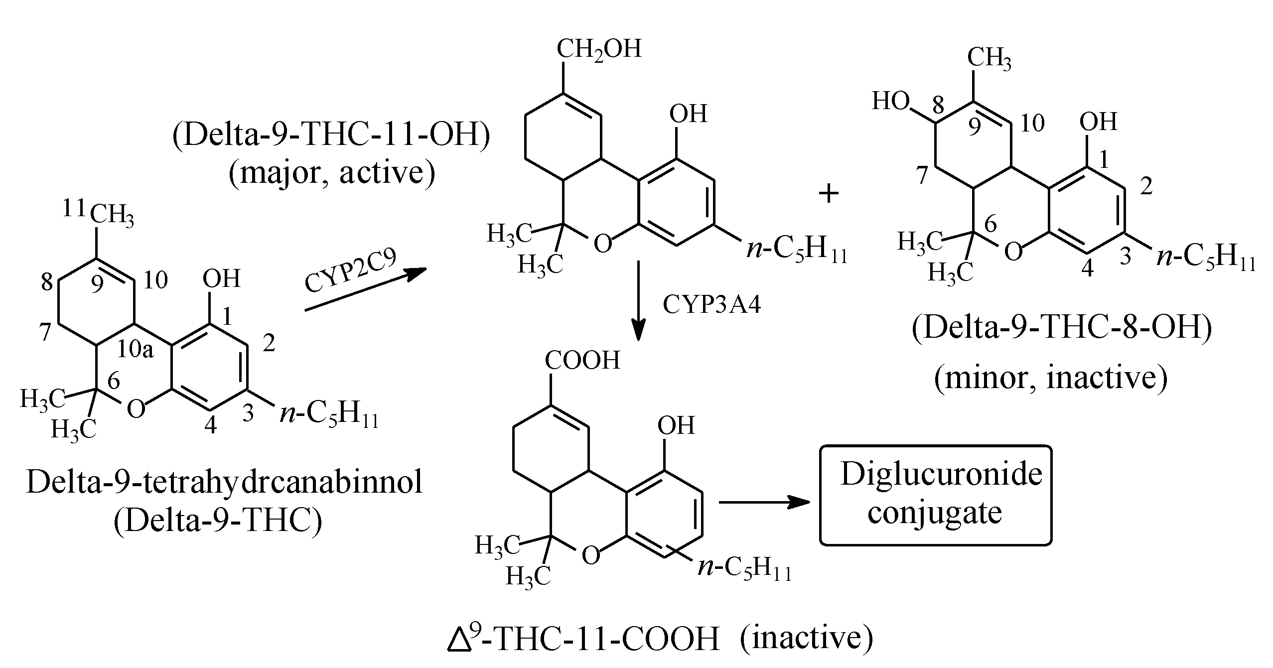 Molecules 25 01937 g019 Molecules 25 01937 g019