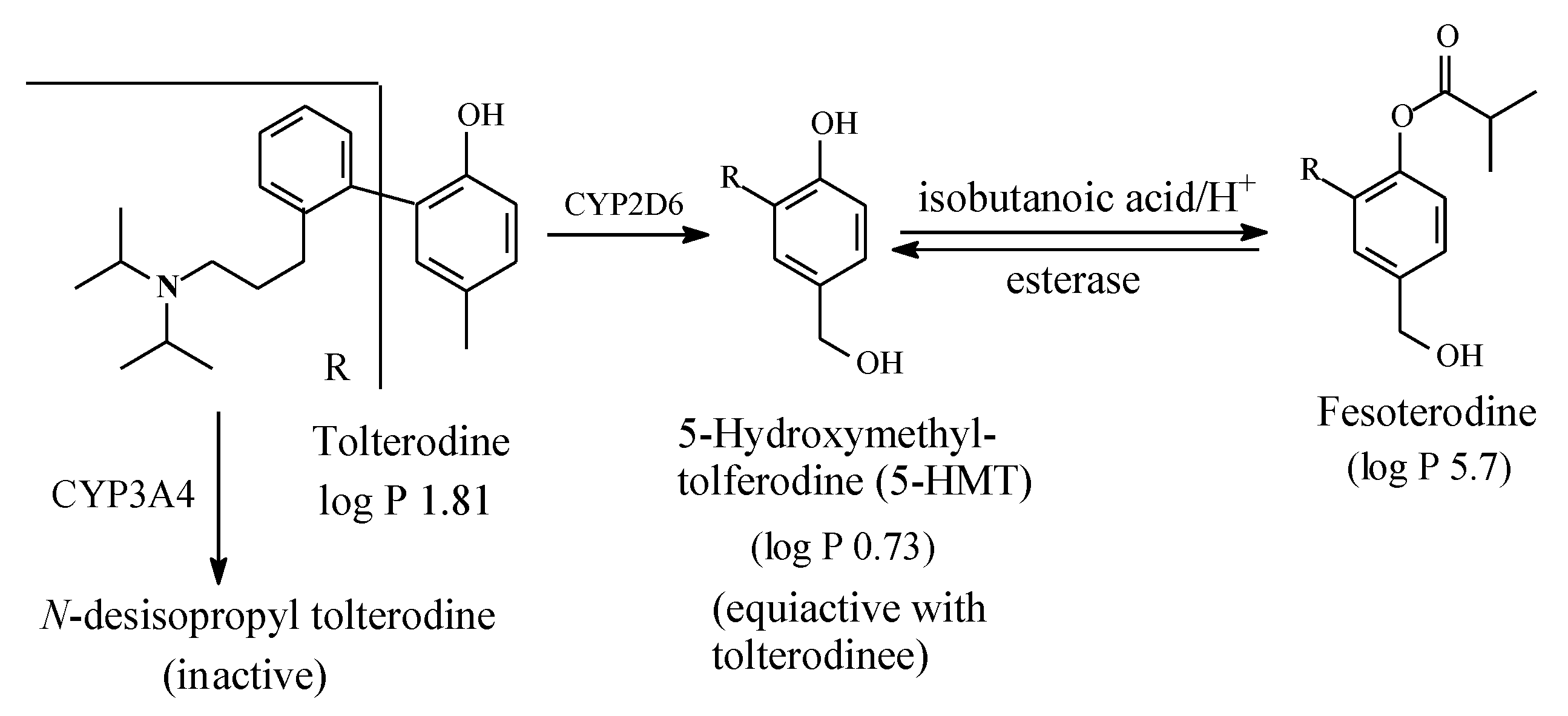 Molecules 25 01937 g021 Molecules 25 01937 g021