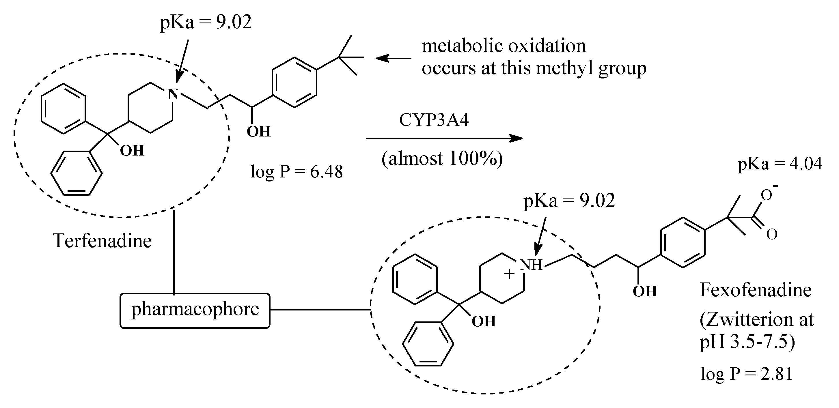 Molecules 25 01937 g022 Molecules 25 01937 g022