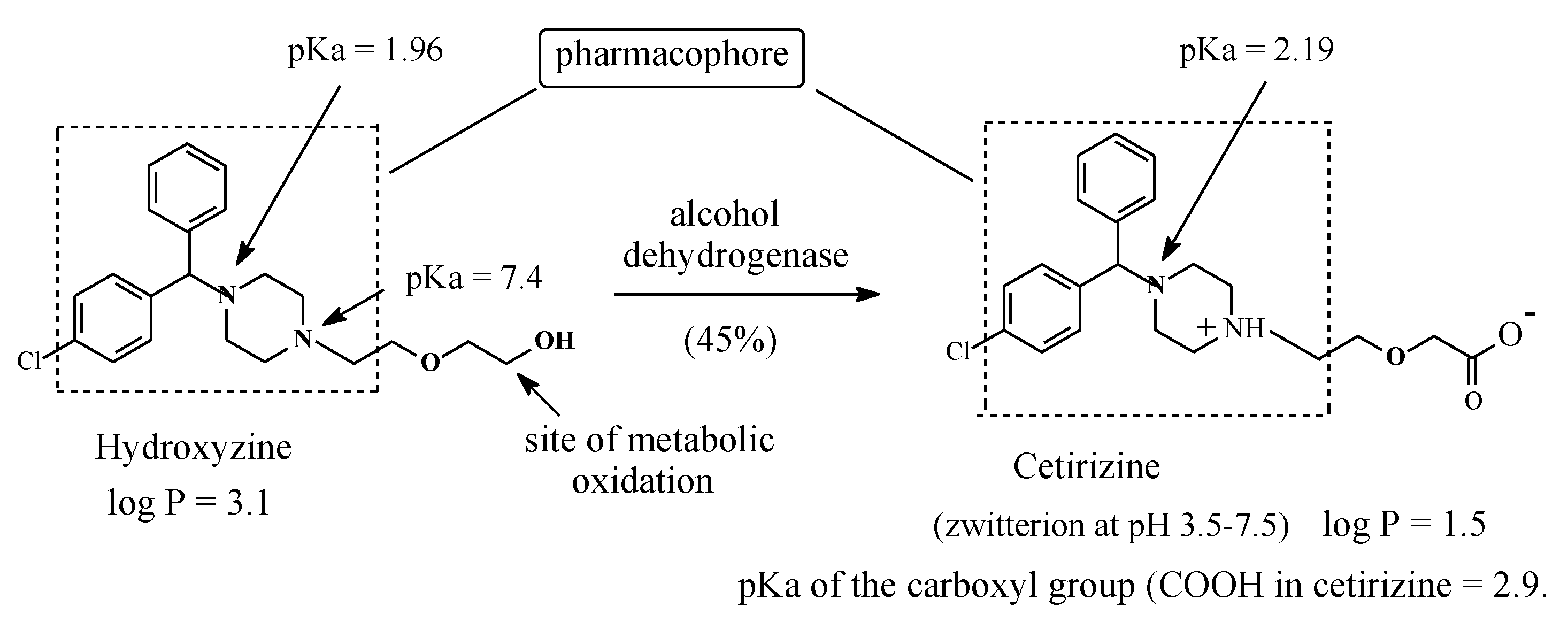 Molecules 25 01937 g024 Molecules 25 01937 g024