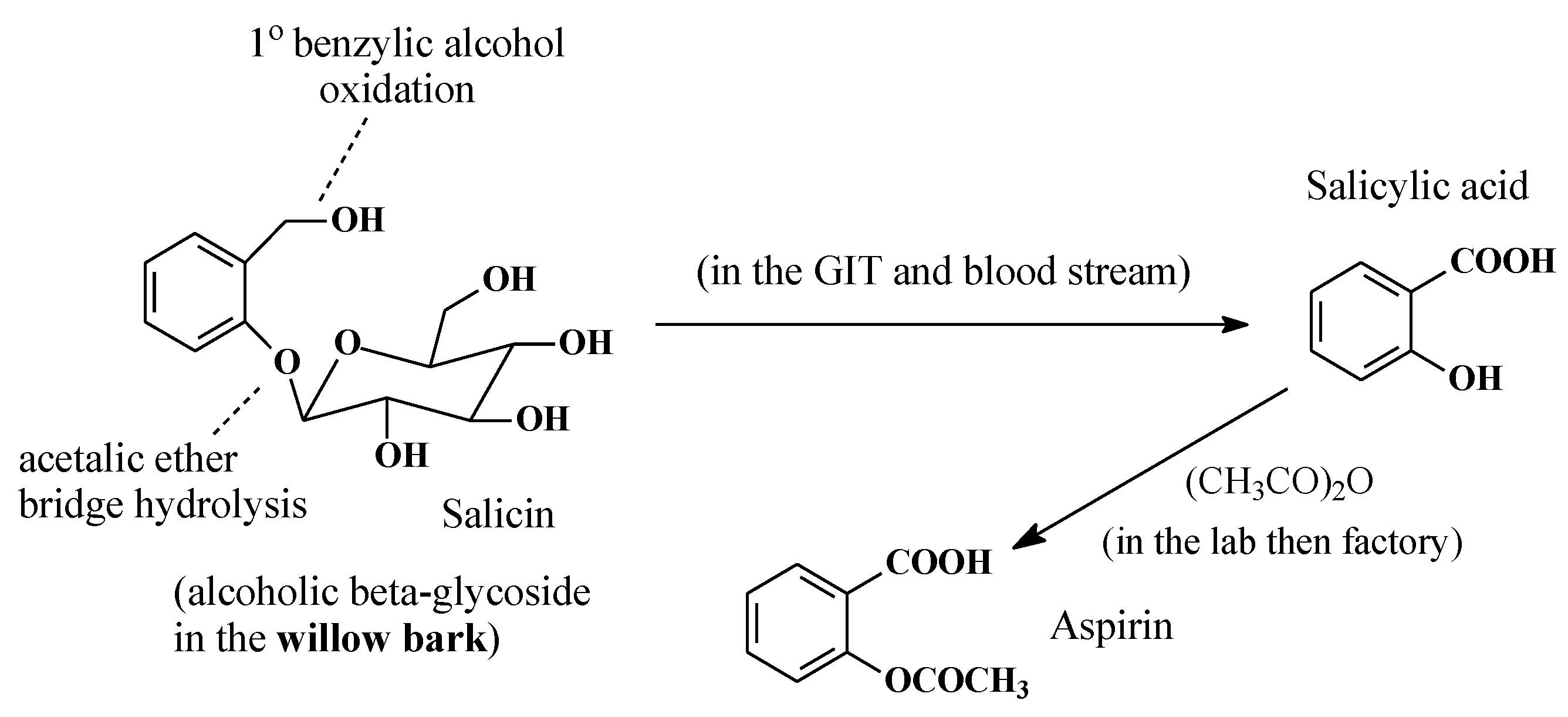 Molecules 25 01937 g025 Molecules 25 01937 g025
