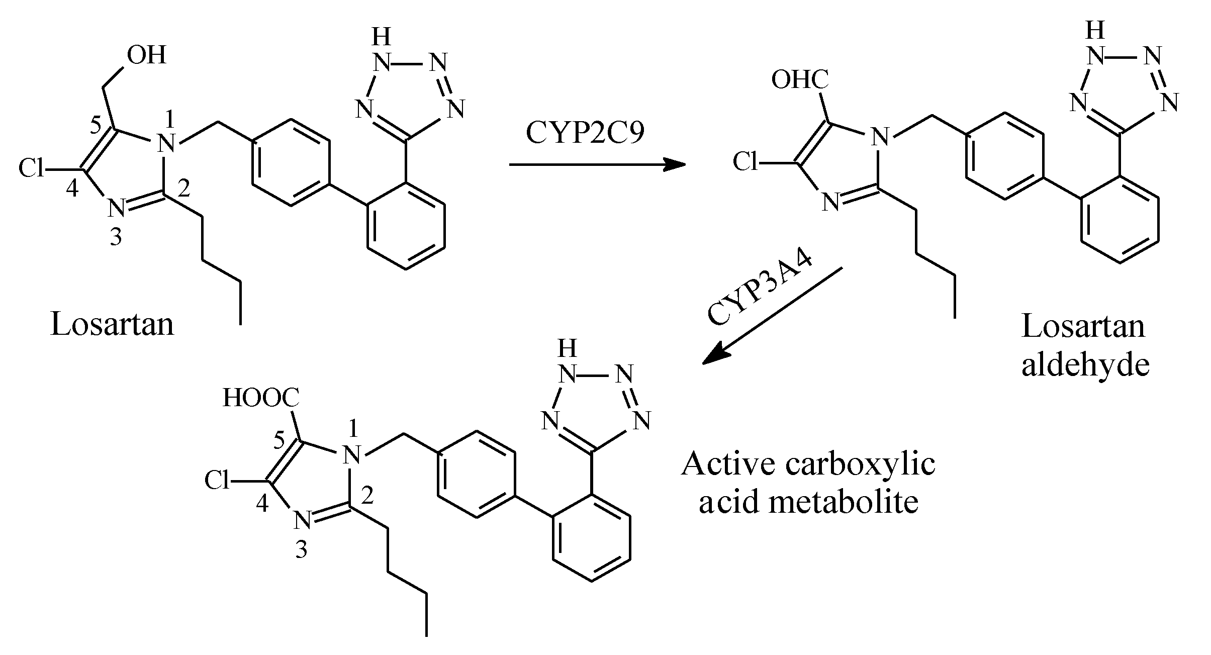 Molecules 25 01937 g026 Molecules 25 01937 g026