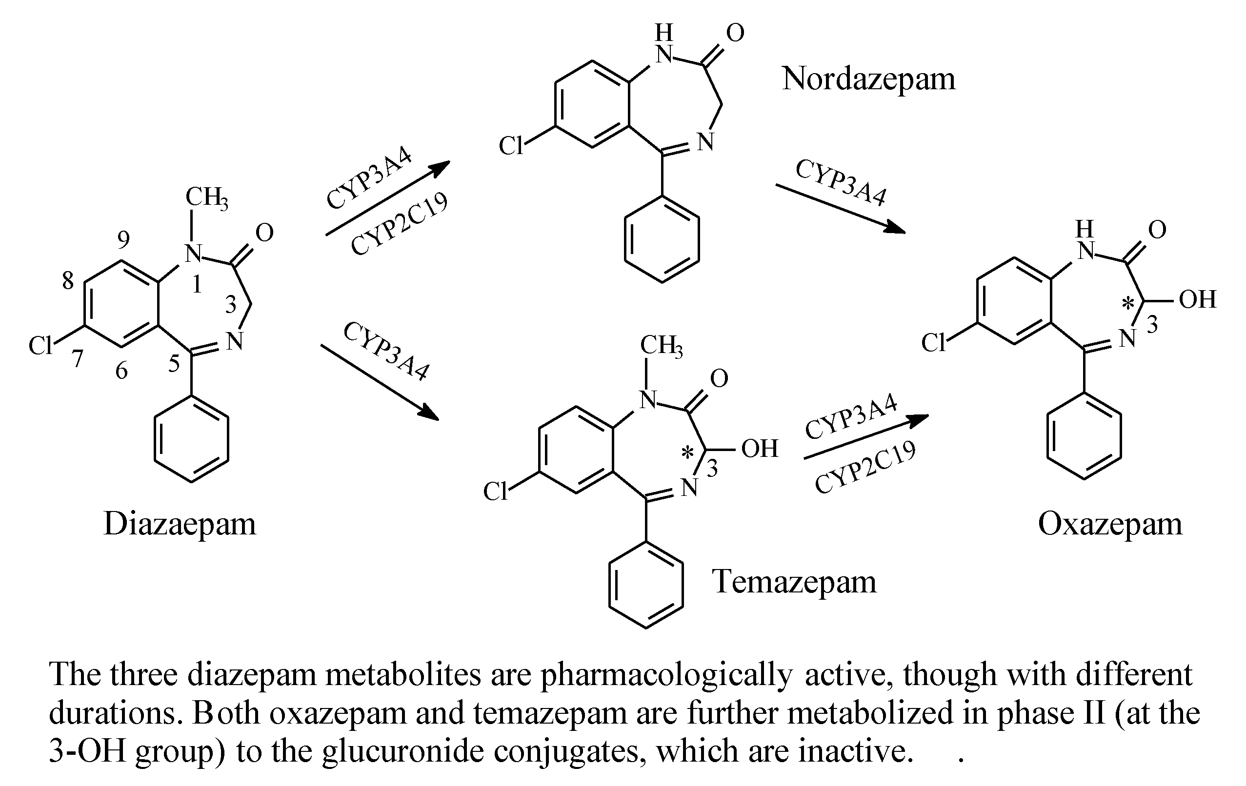 Molecules 25 01937 g028 Molecules 25 01937 g028