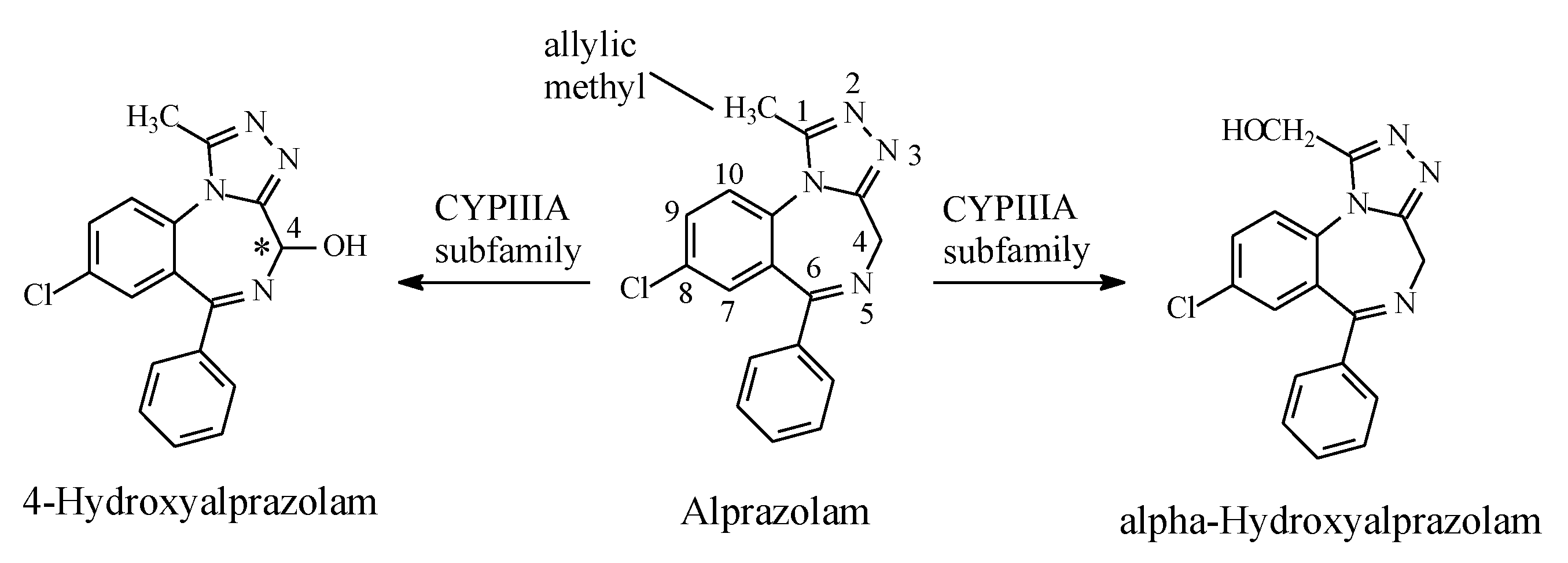 Molecules 25 01937 g029 Molecules 25 01937 g029