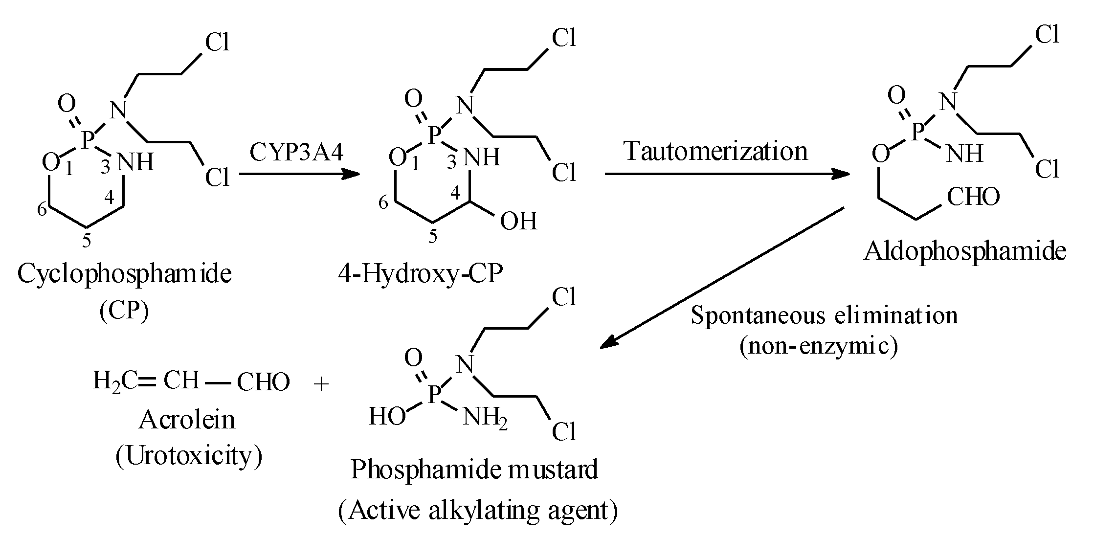 Molecules 25 01937 g030 Molecules 25 01937 g030