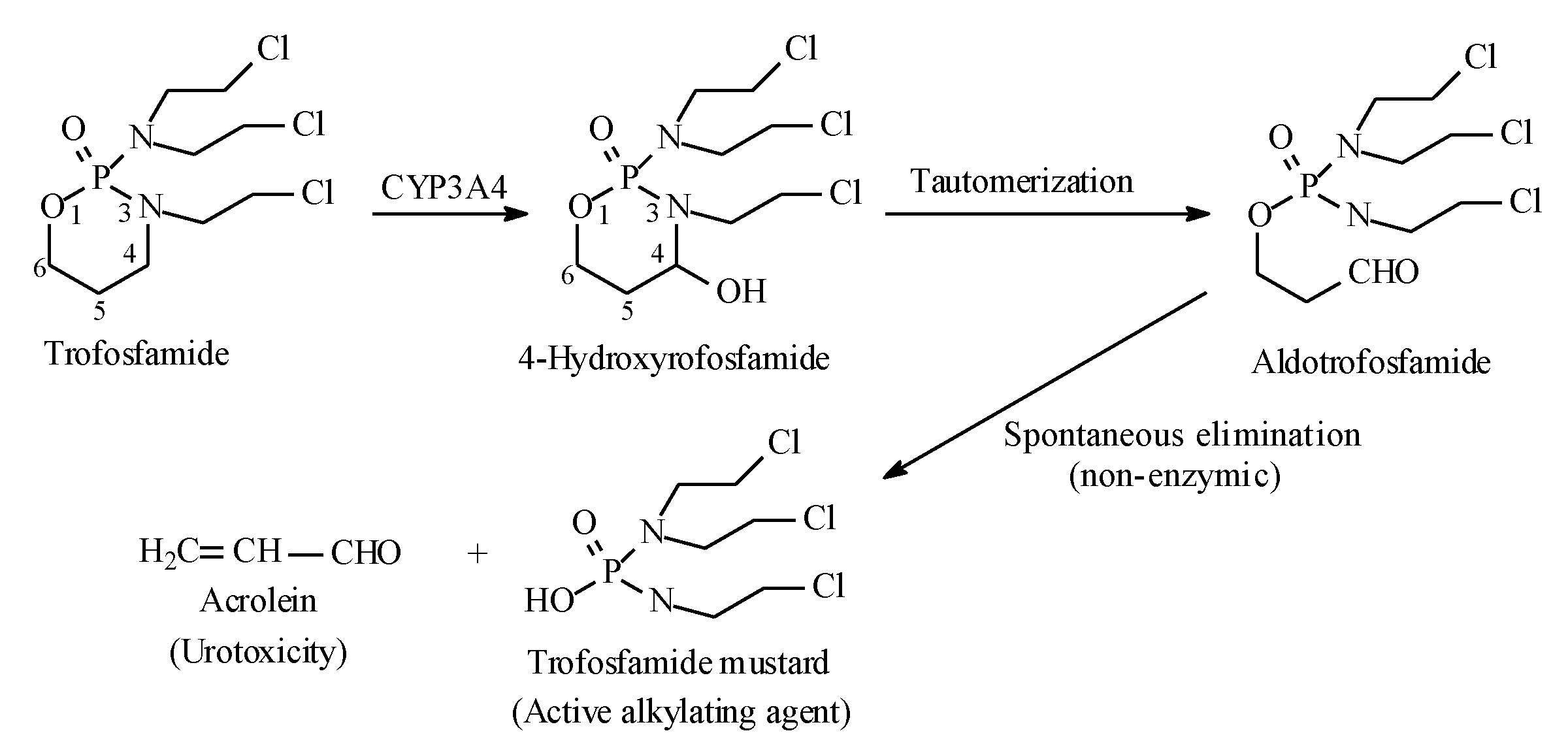 Molecules 25 01937 g032 Molecules 25 01937 g032
