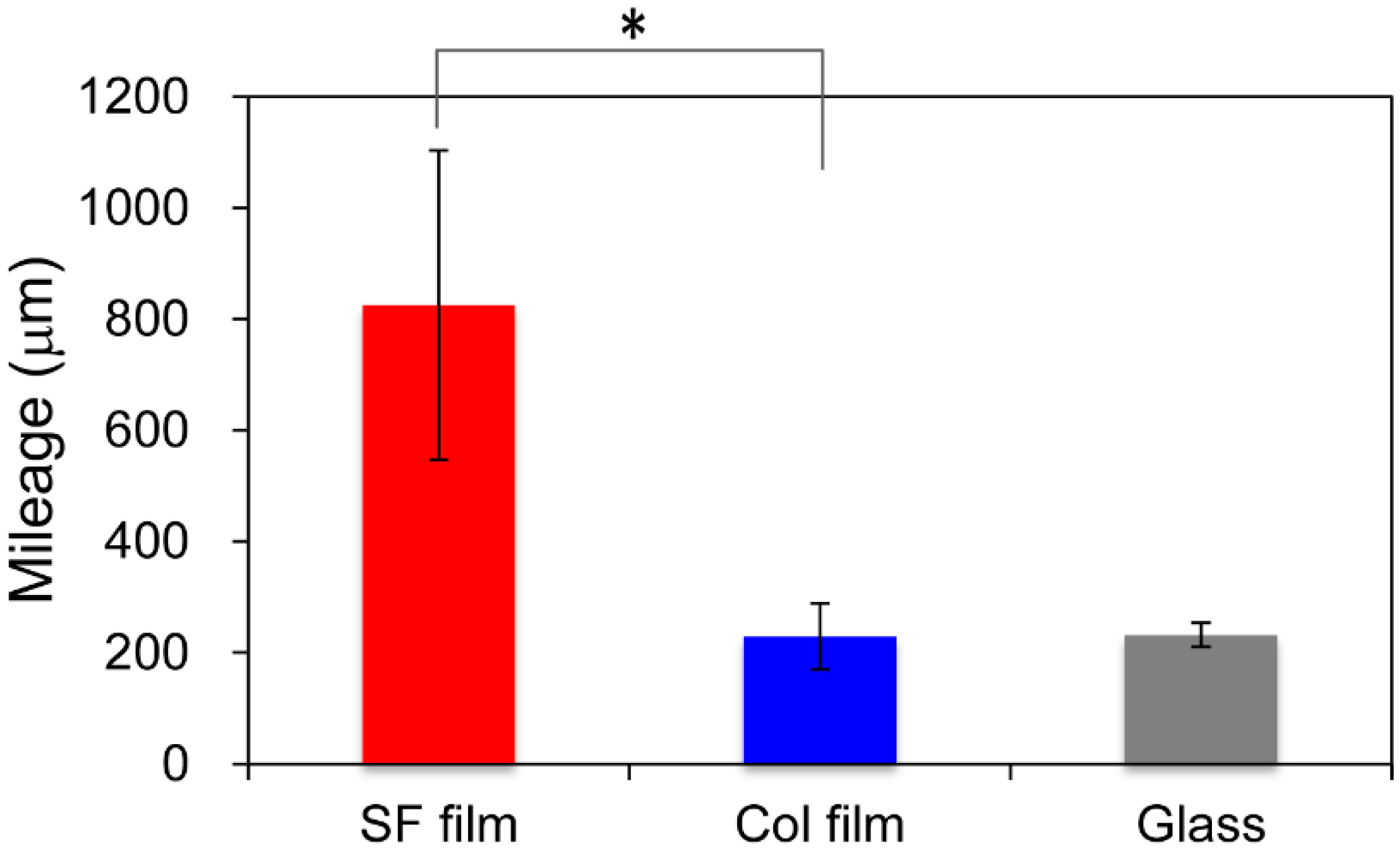 Molecules 25 01939 g001