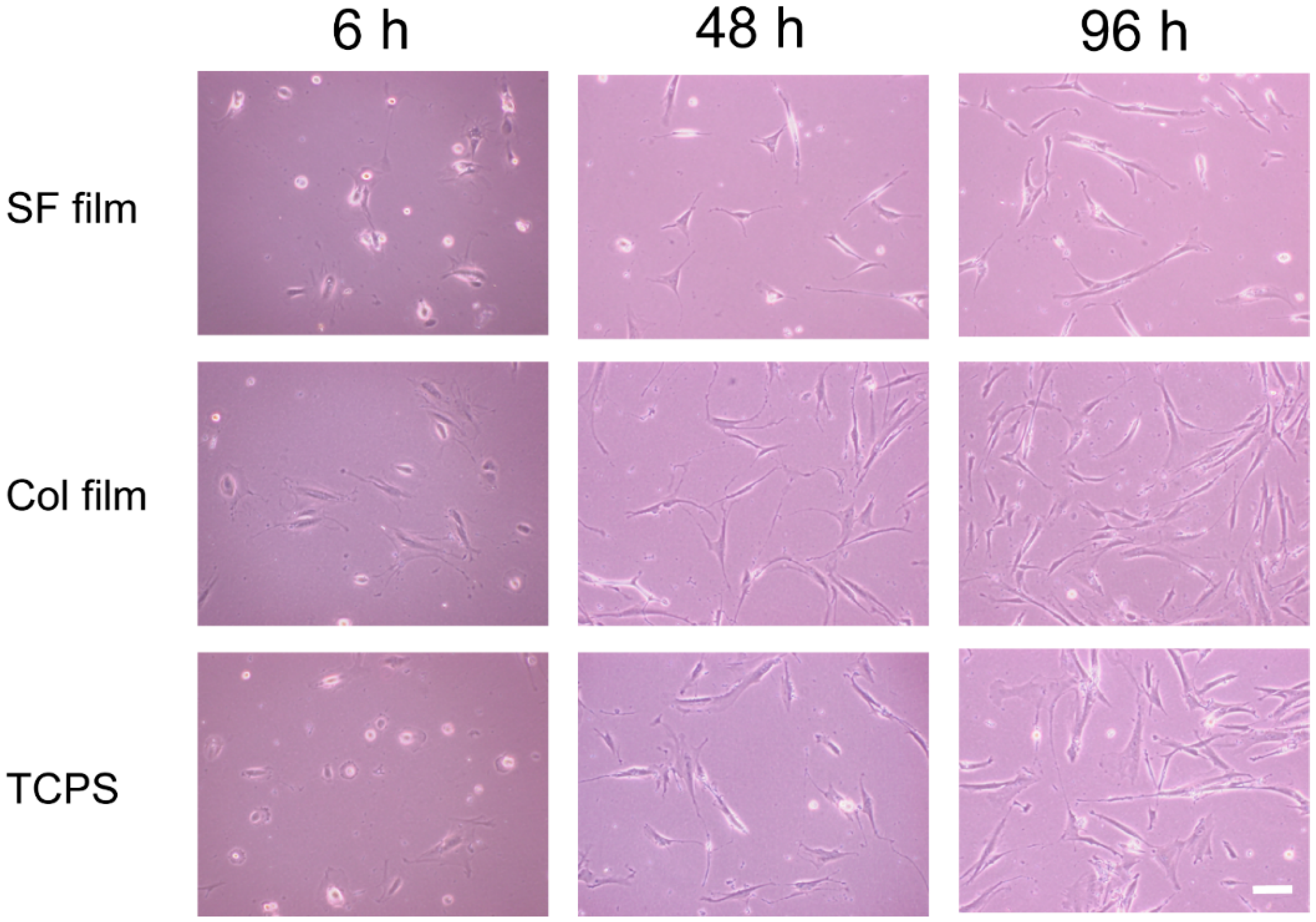 Molecules 25 01939 g002