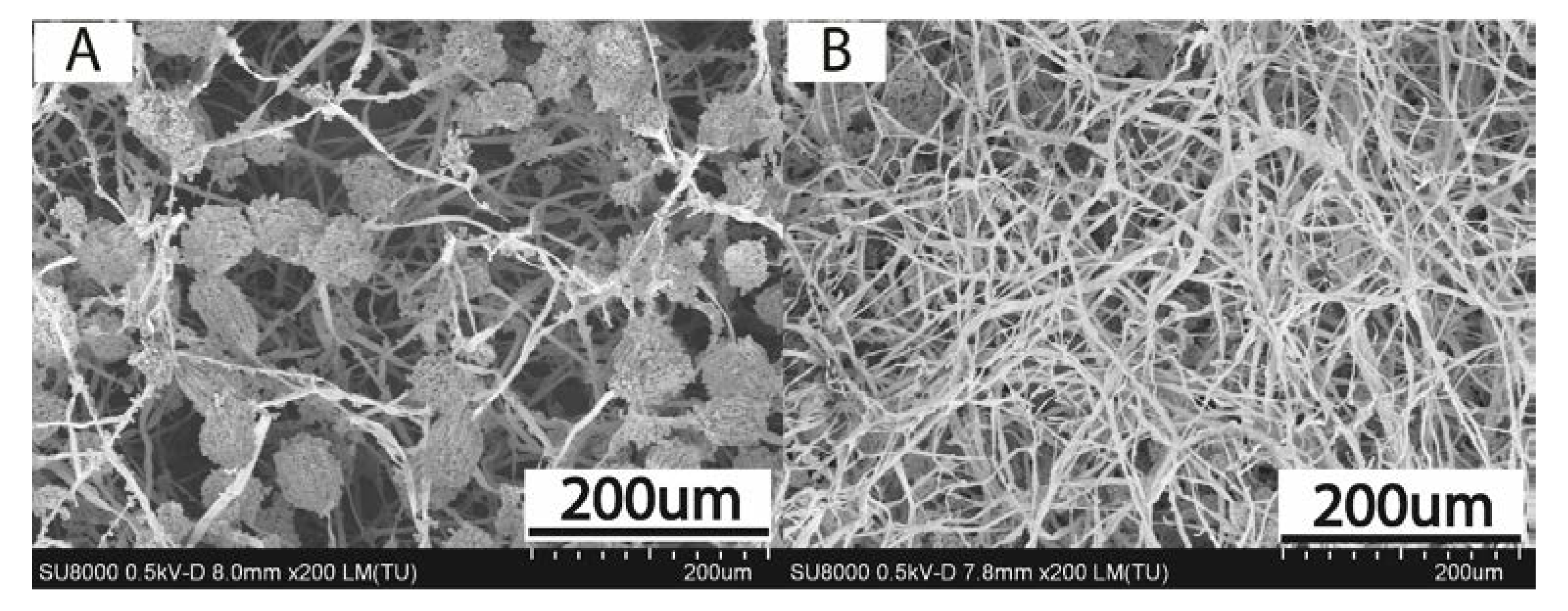 Molecules 25 01954 g003 Molecules 25 01954 g003