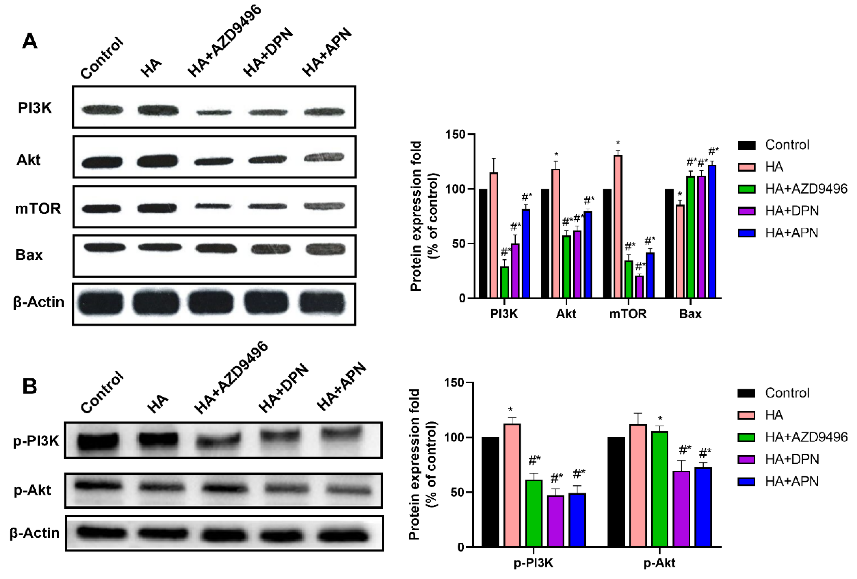 Molecules 25 01960 g006