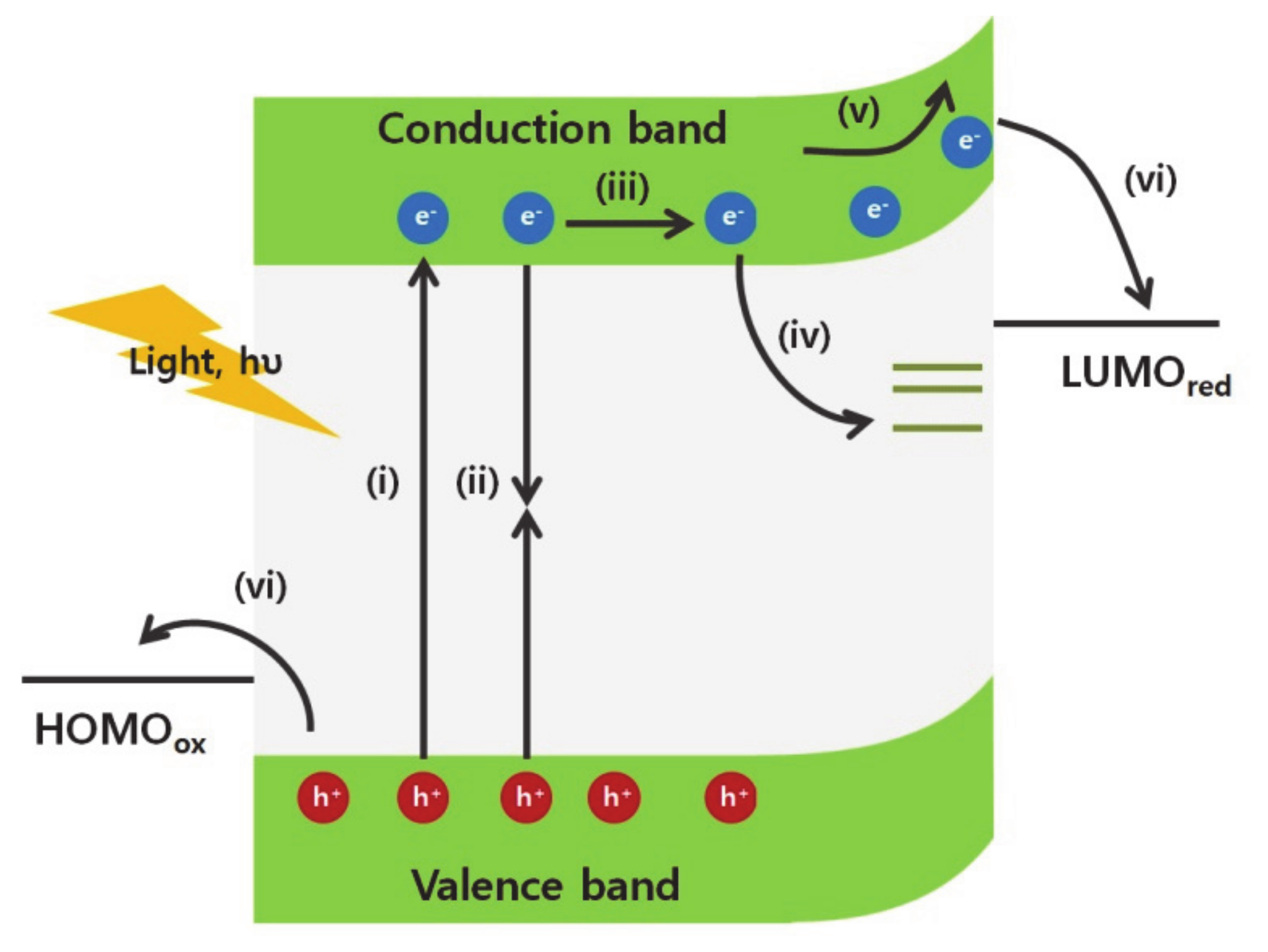Molecules 25 01965 g001