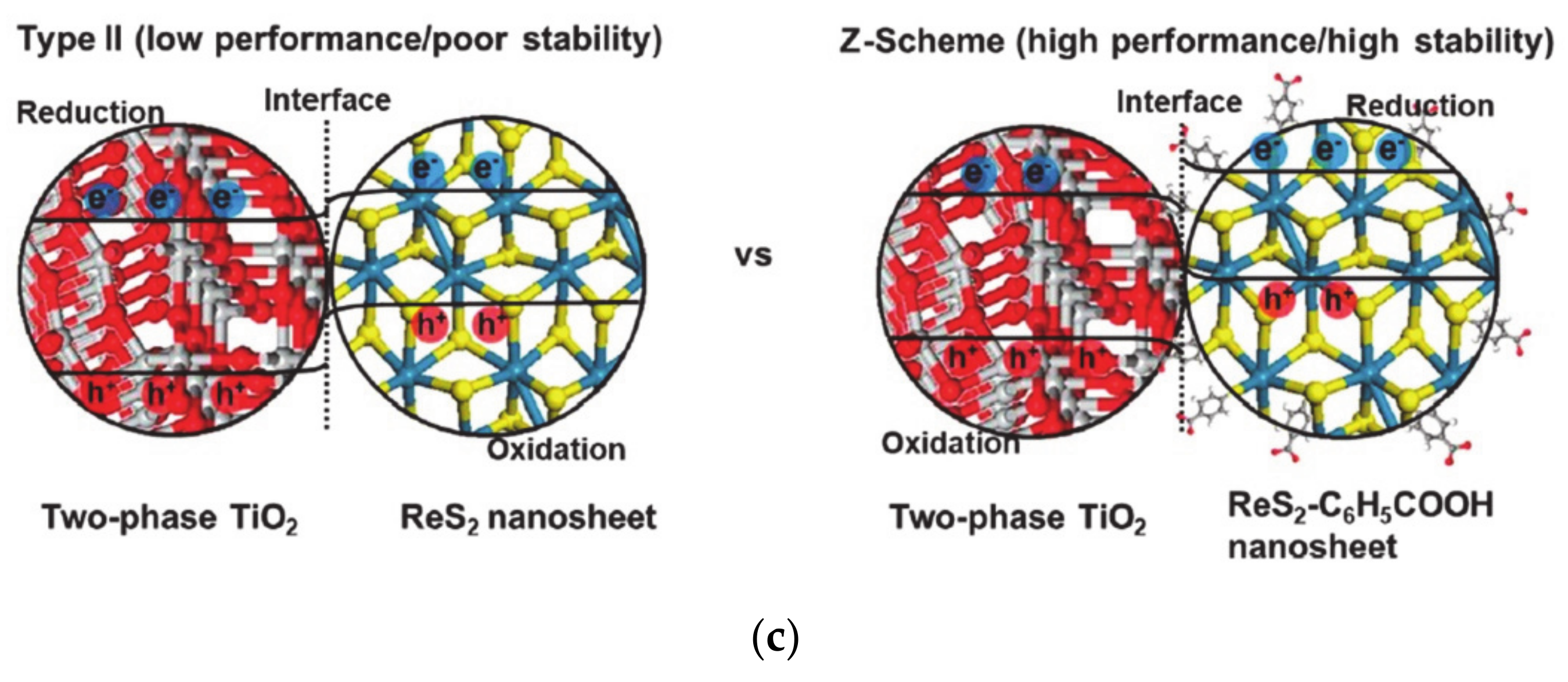 Molecules 25 01965 g004b
