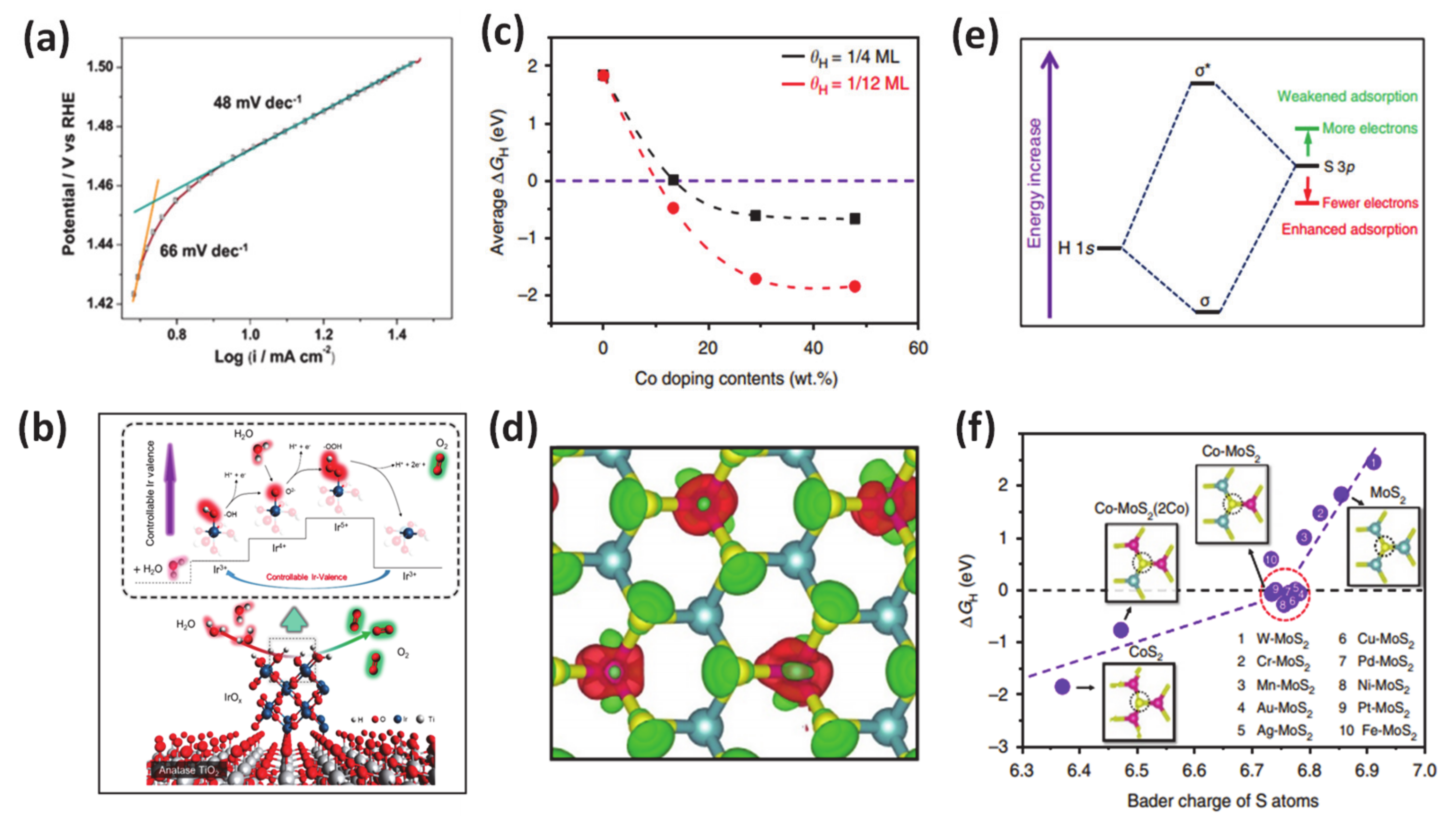 Molecules 25 01965 g007