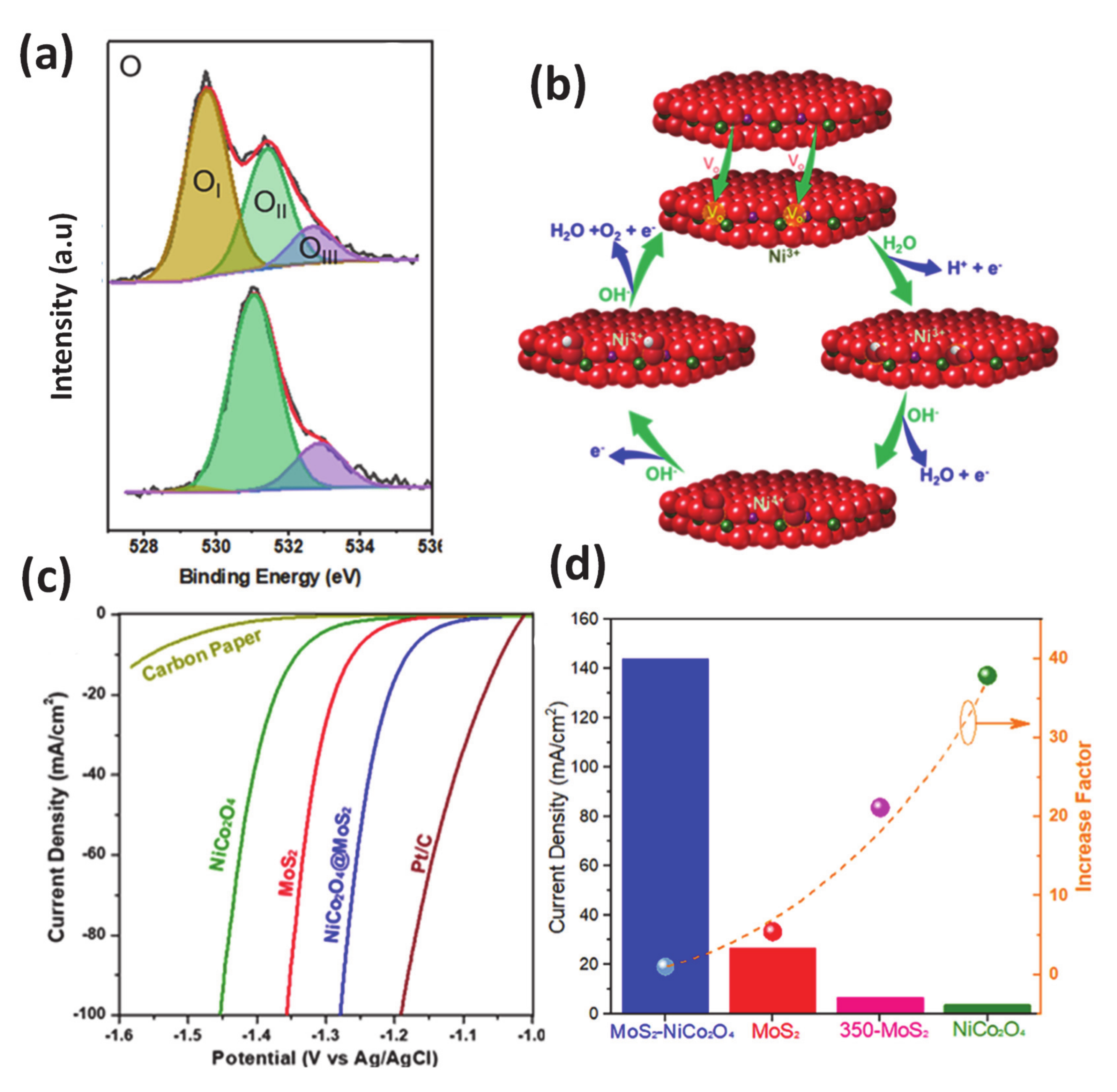 Molecules 25 01965 g008