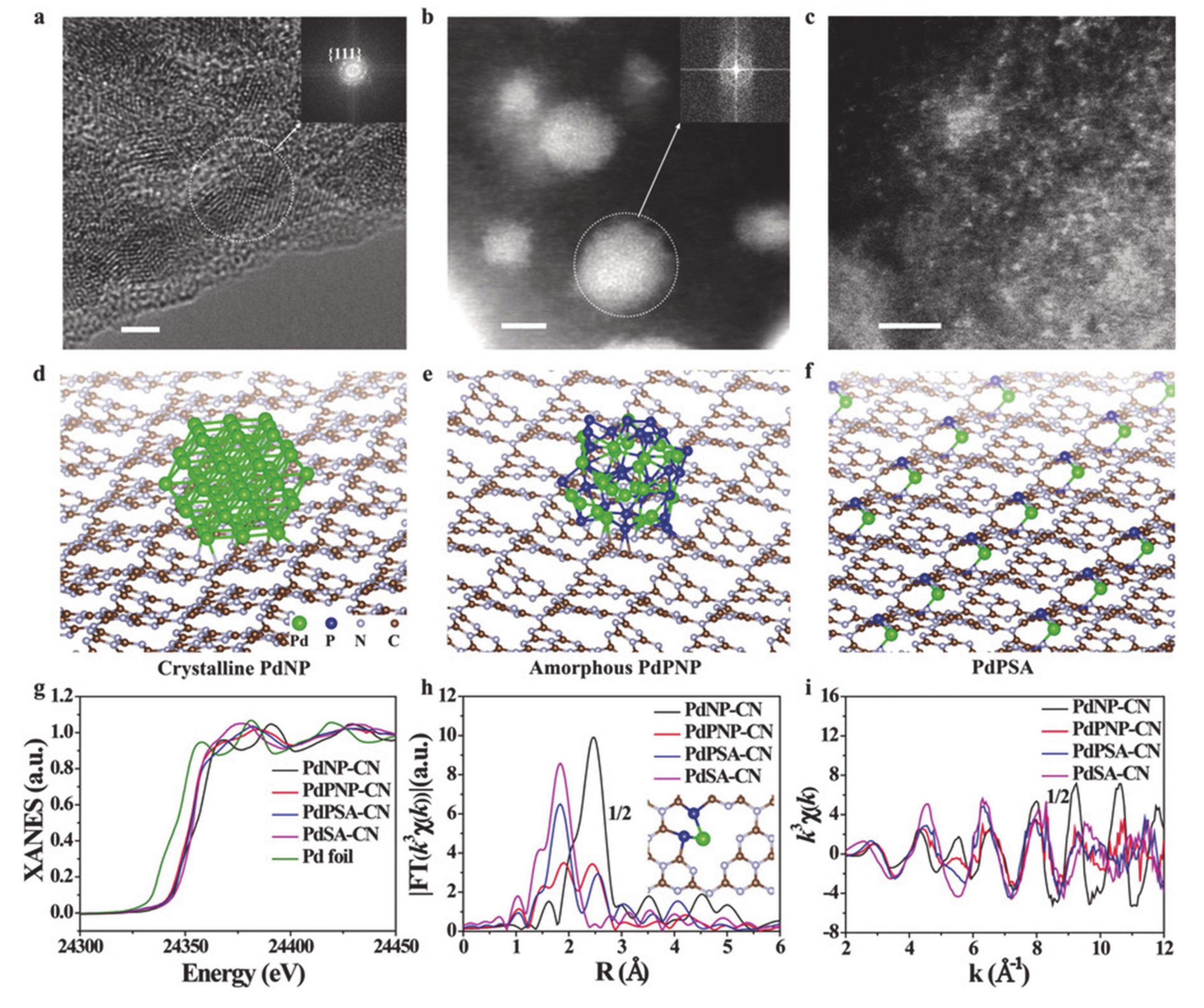 Molecules 25 01965 g009