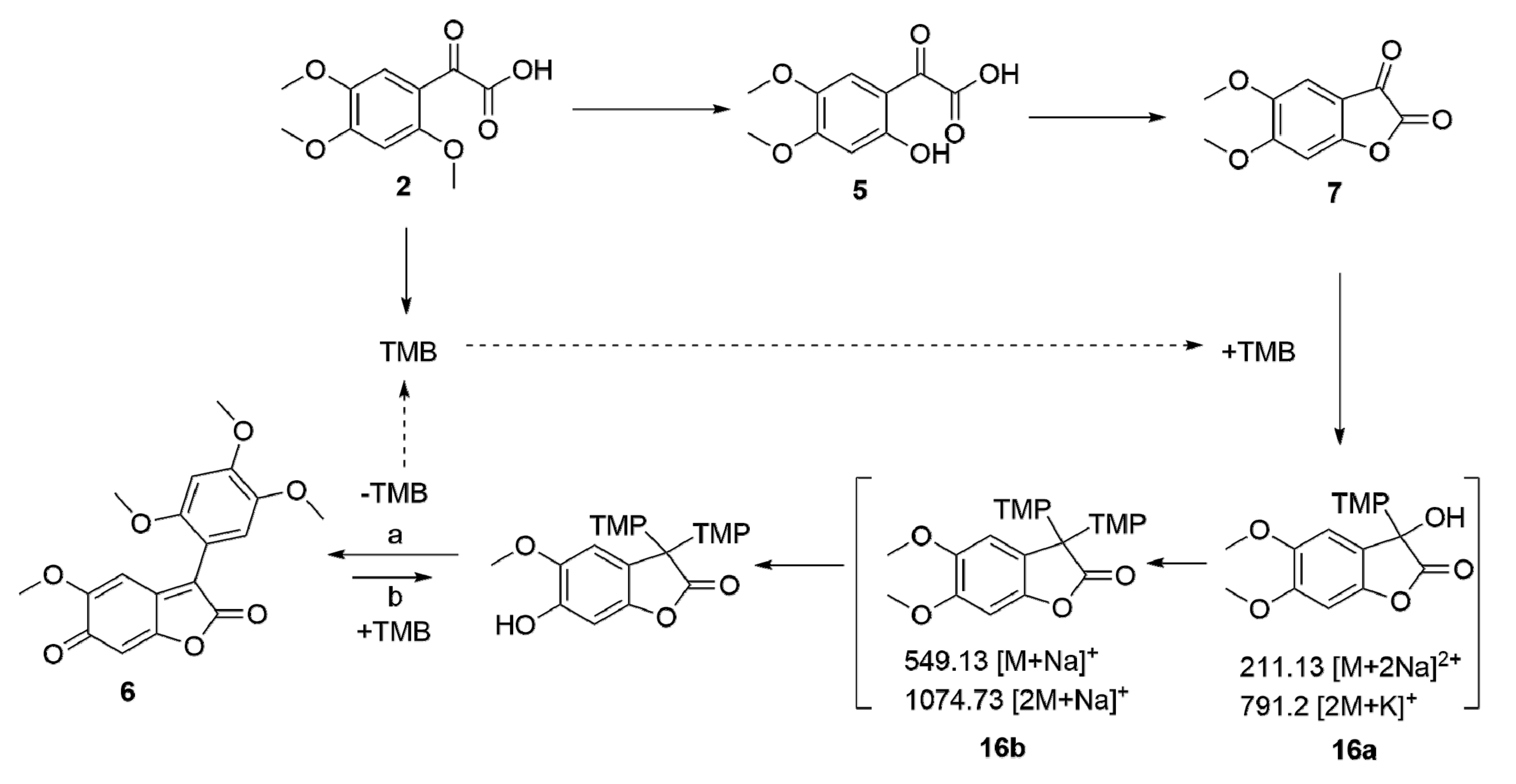 Molecules 25 01978 sch003 Molecules 25 01978 sch003