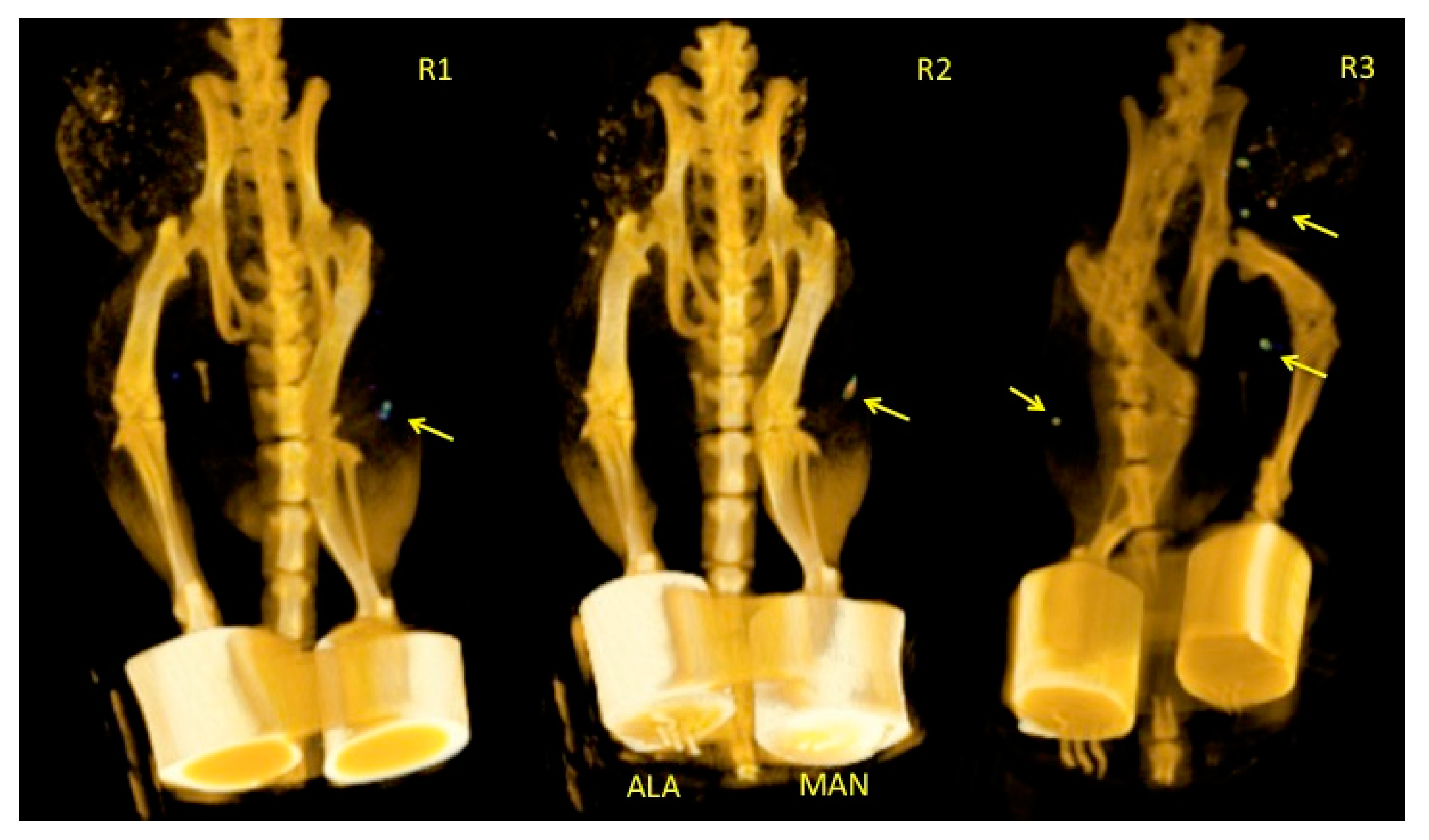 Molecules 25 01982 g005