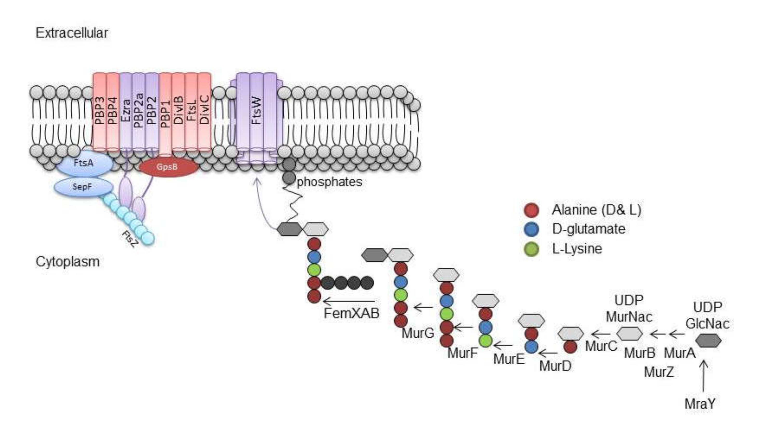 Molecules 25 01986 g003