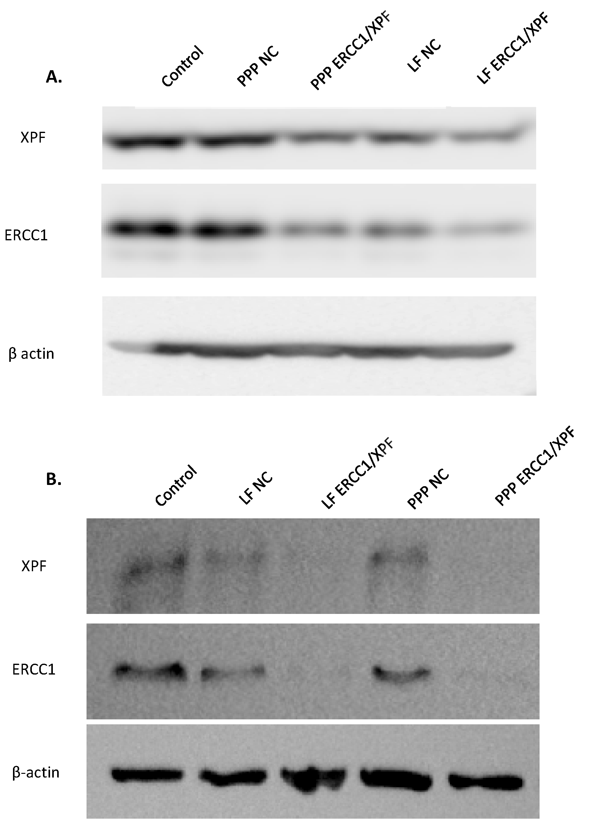 Molecules 25 01994 g001