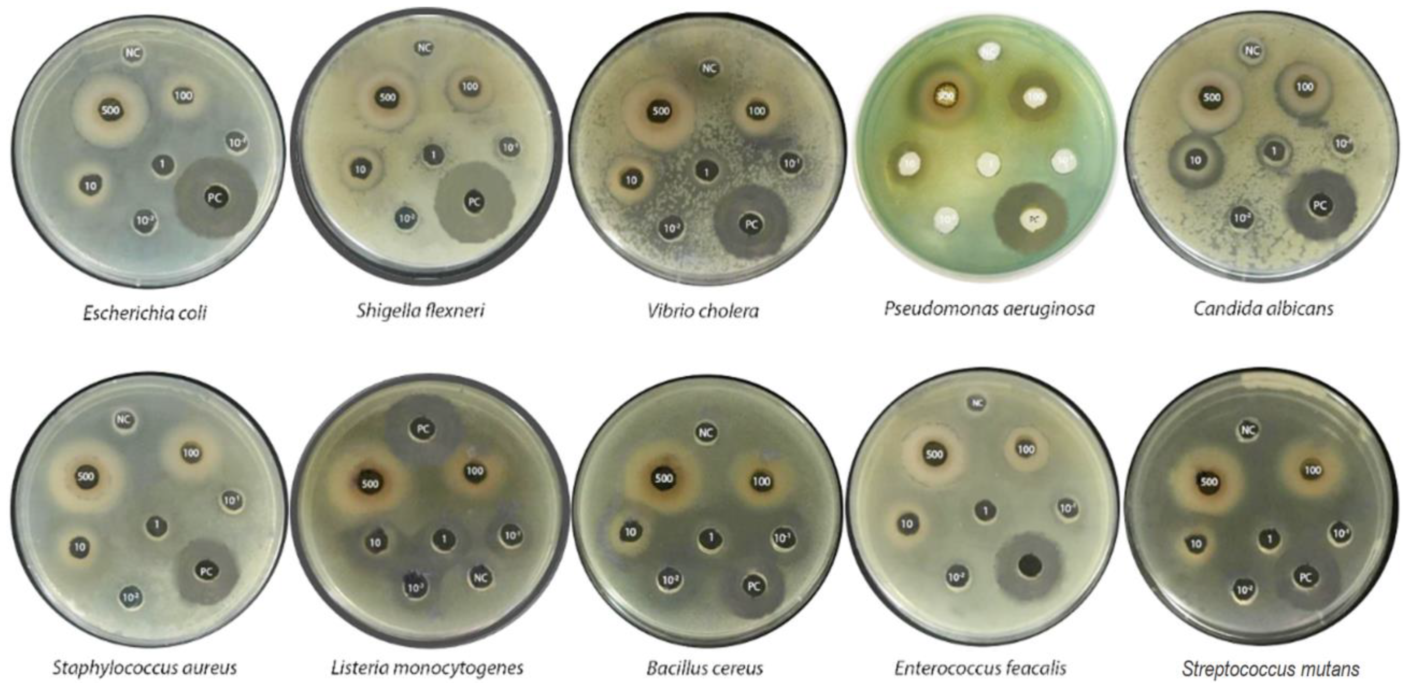 Molecules 25 01996 g003