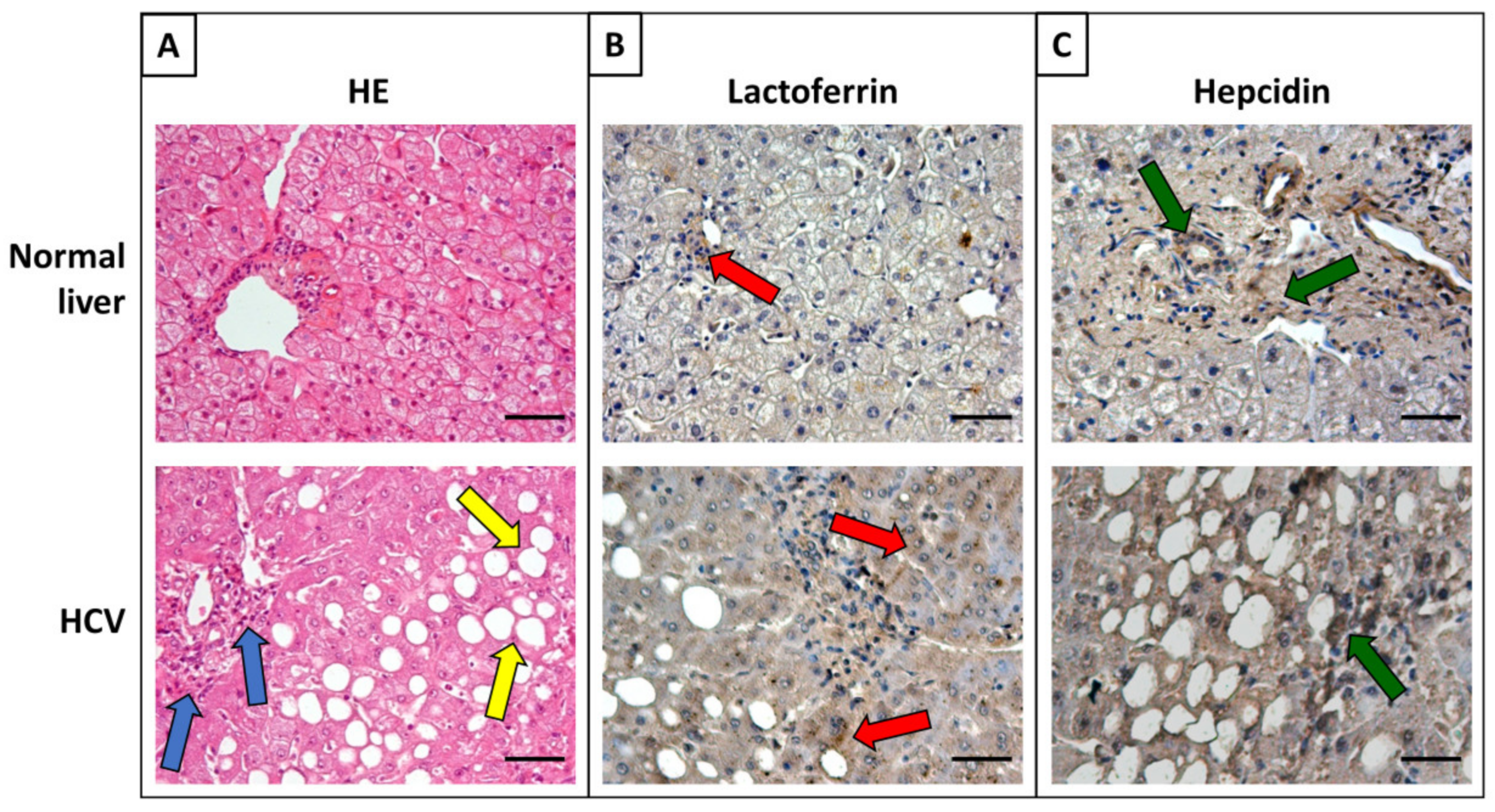 Molecules 25 01997 g003