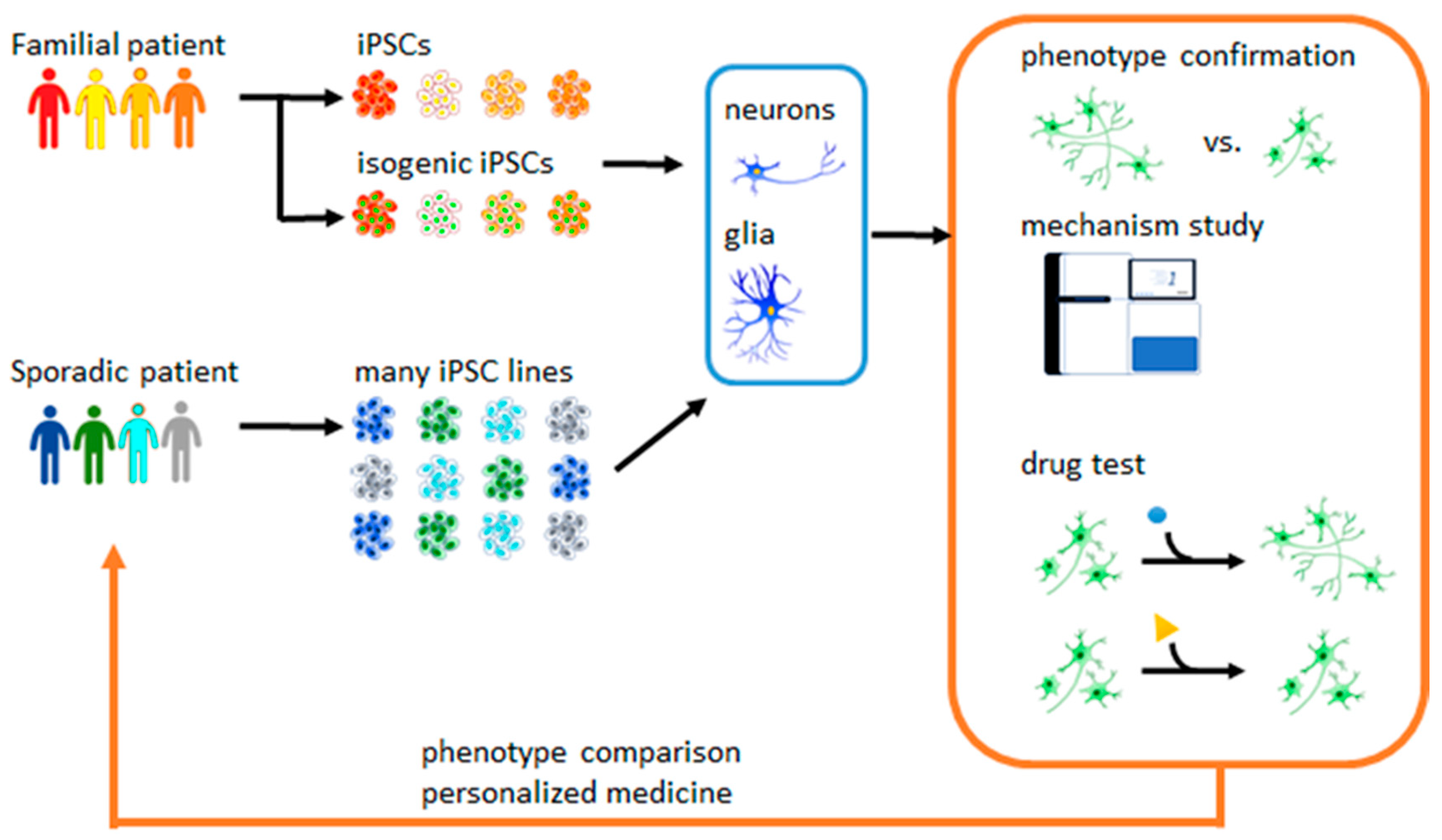 Molecules 25 02000 g001