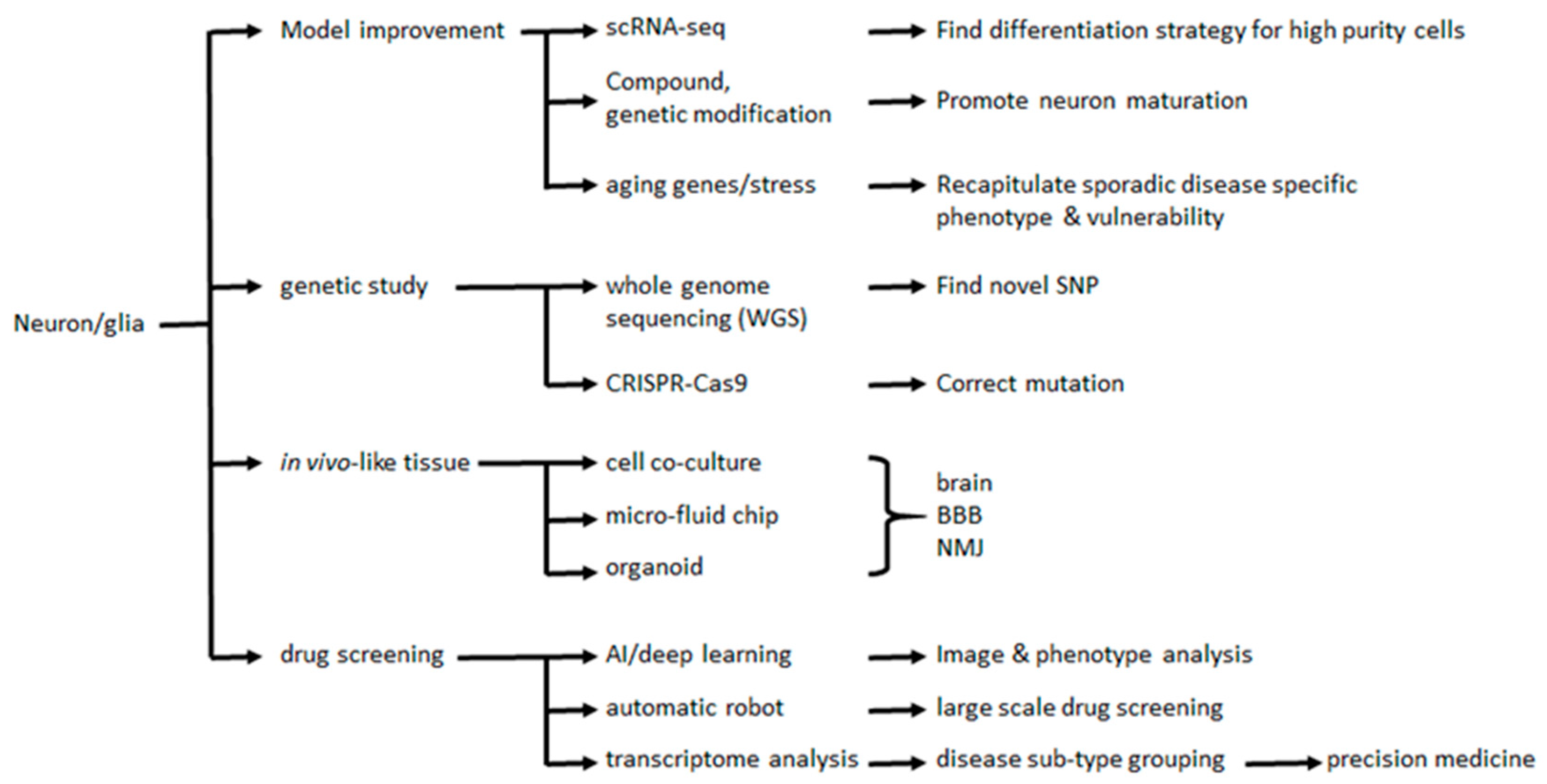 Molecules 25 02000 g002