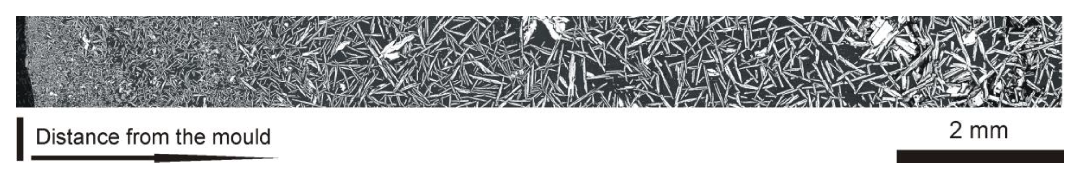 Molecules 25 02001 g006