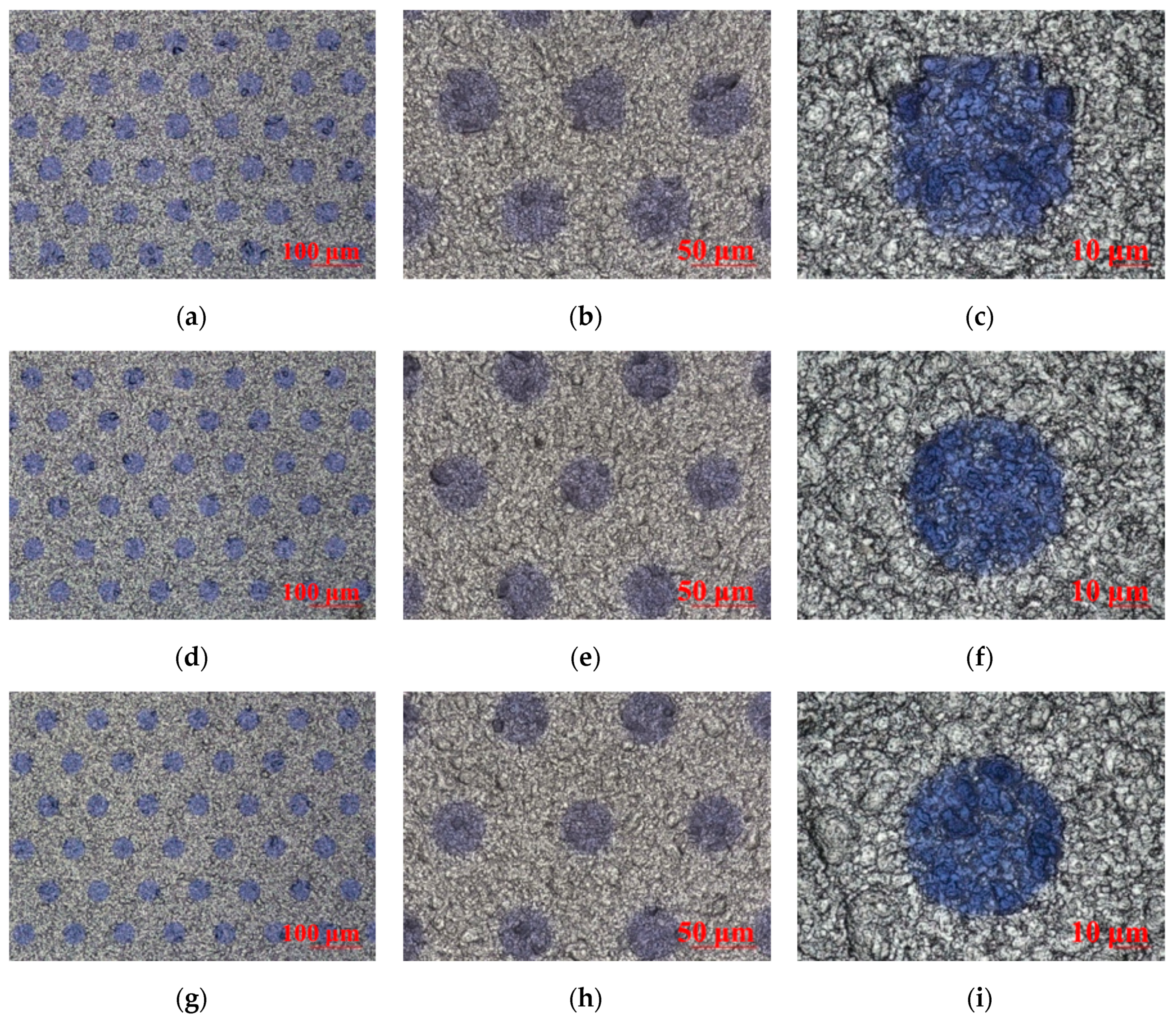 Molecules 25 02012 g005