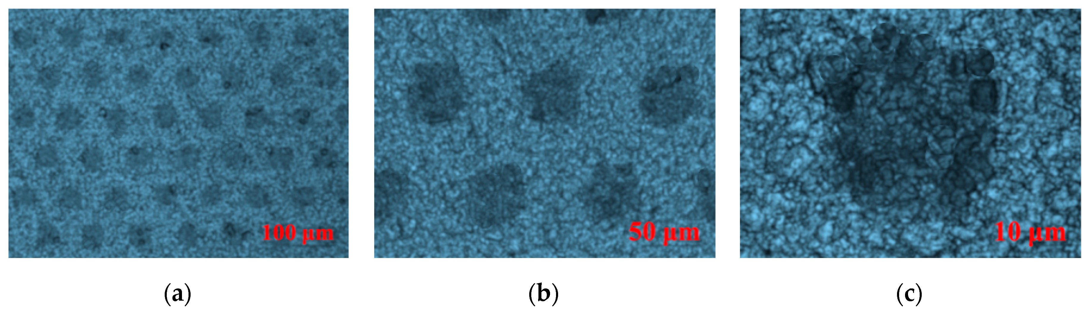 Molecules 25 02012 g009a
