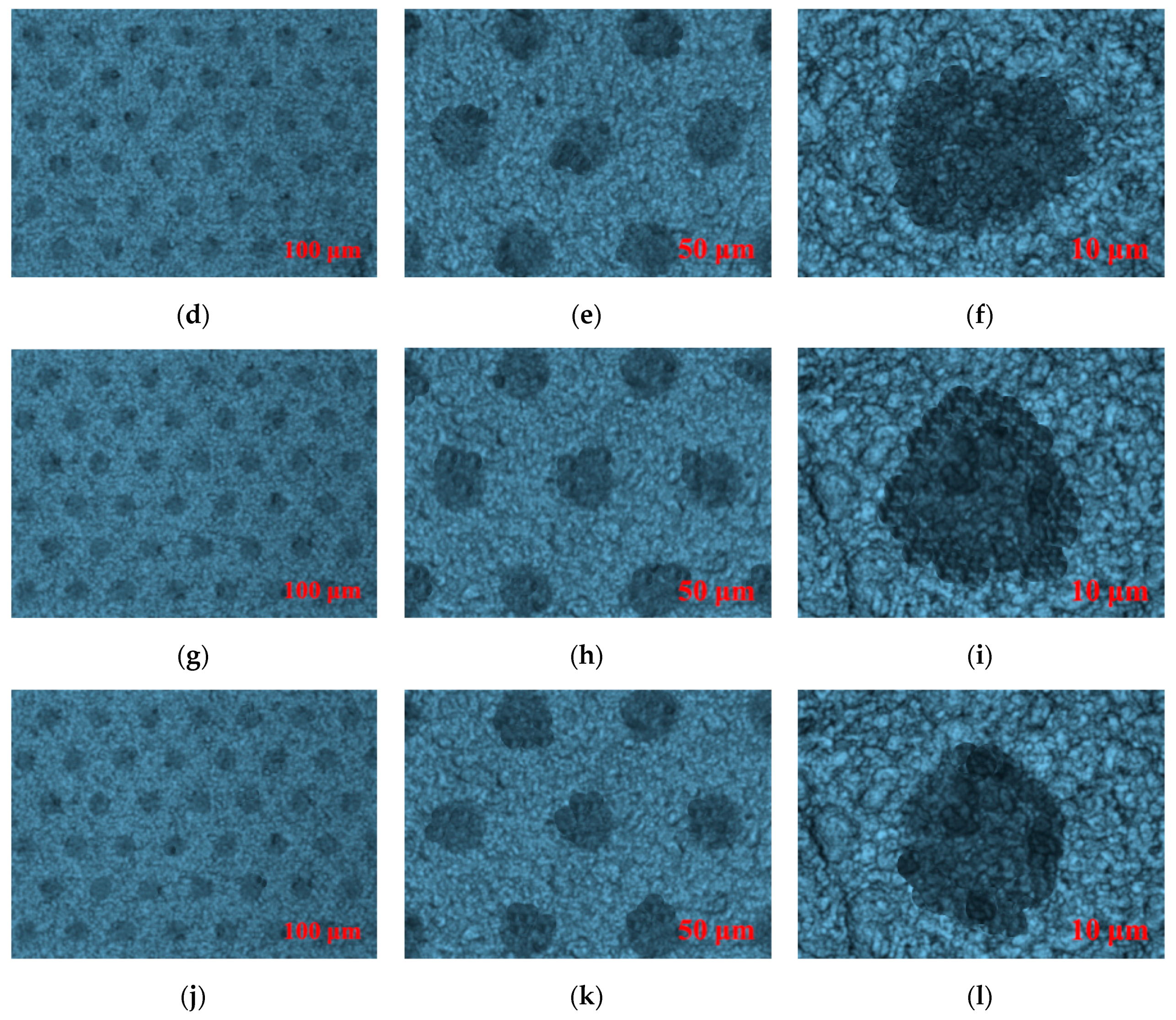 Molecules 25 02012 g009b