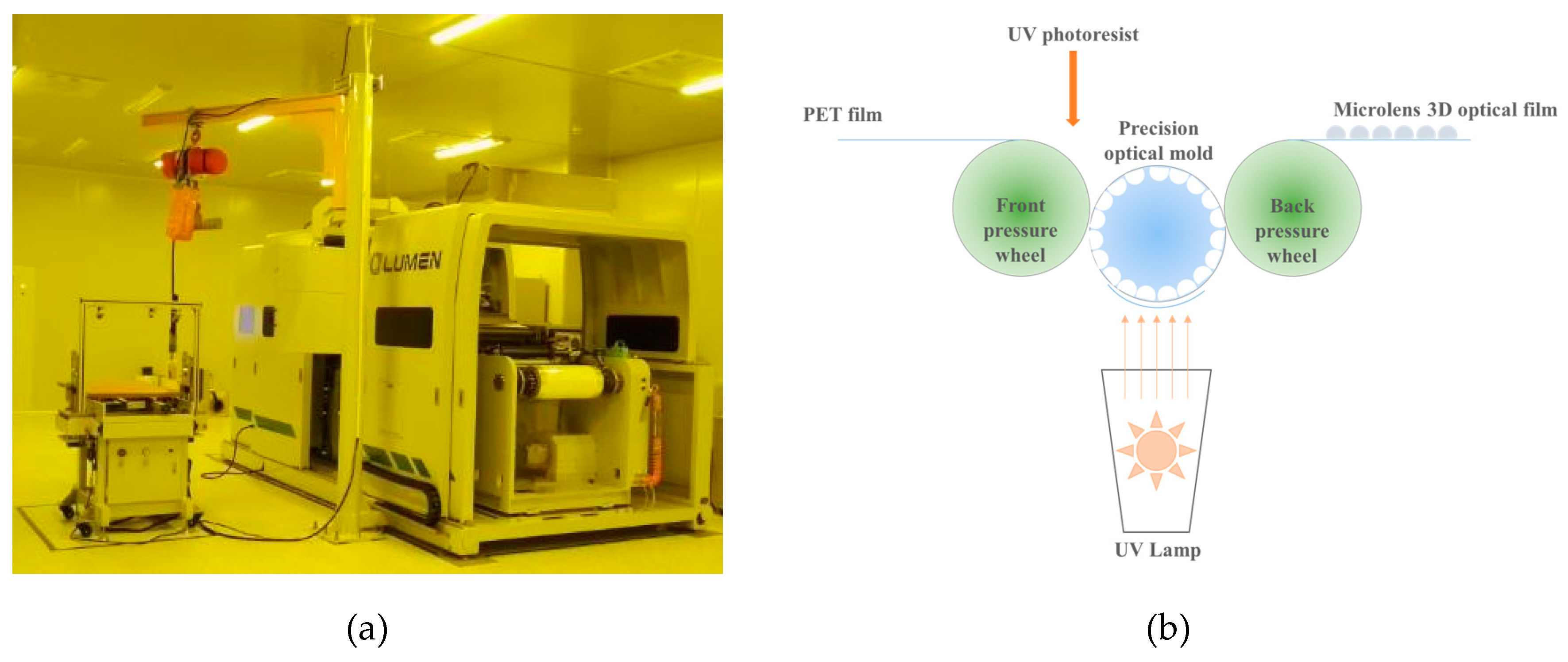 Molecules 25 02012 g010