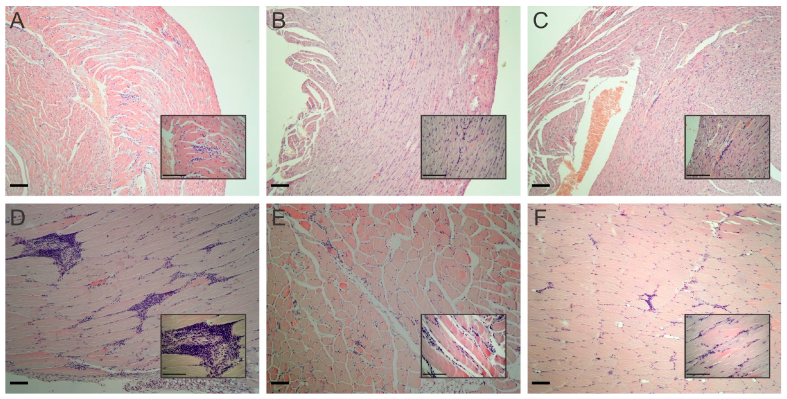 Molecules 25 02014 g006