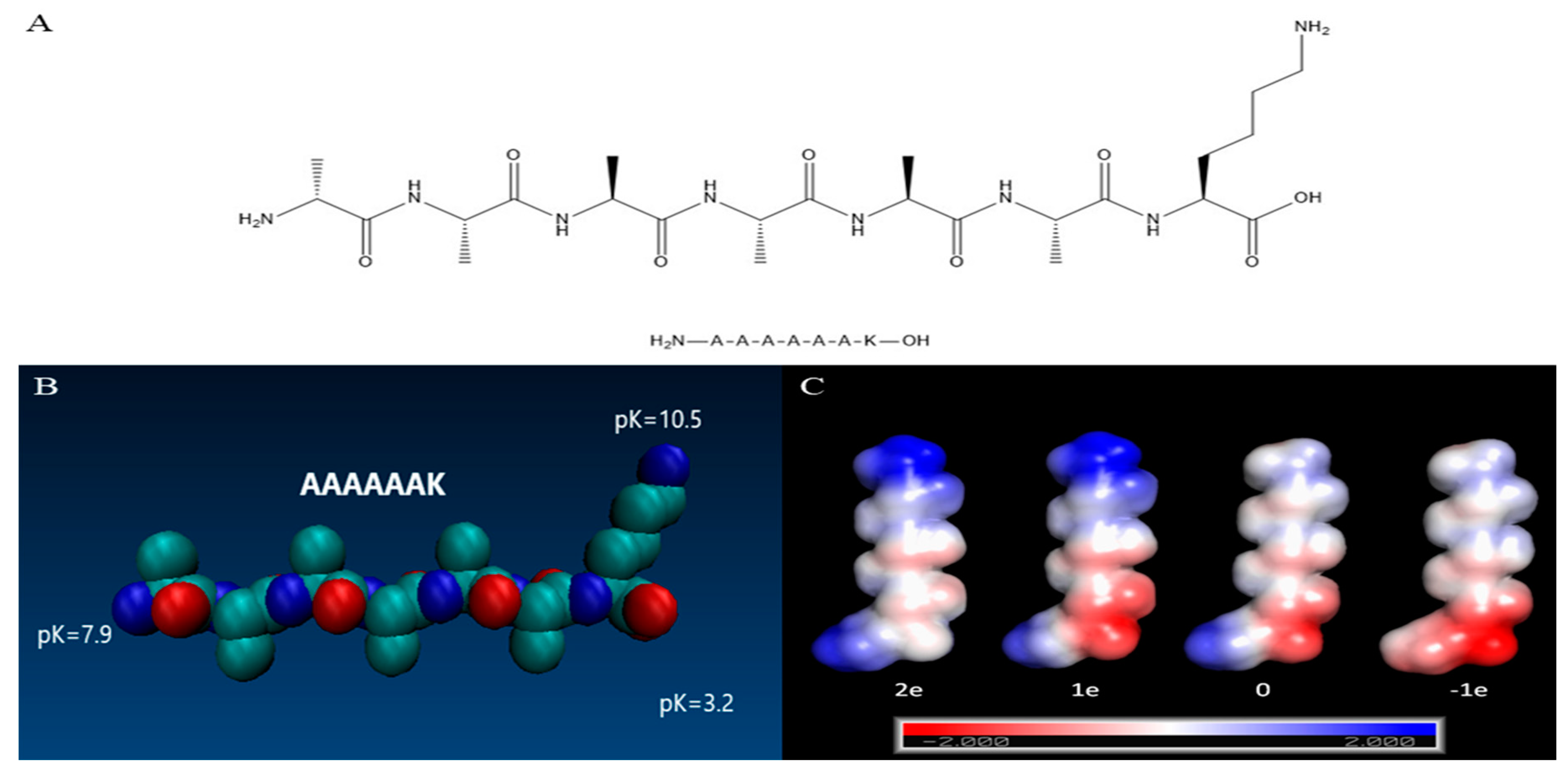 Molecules 25 02017 g001