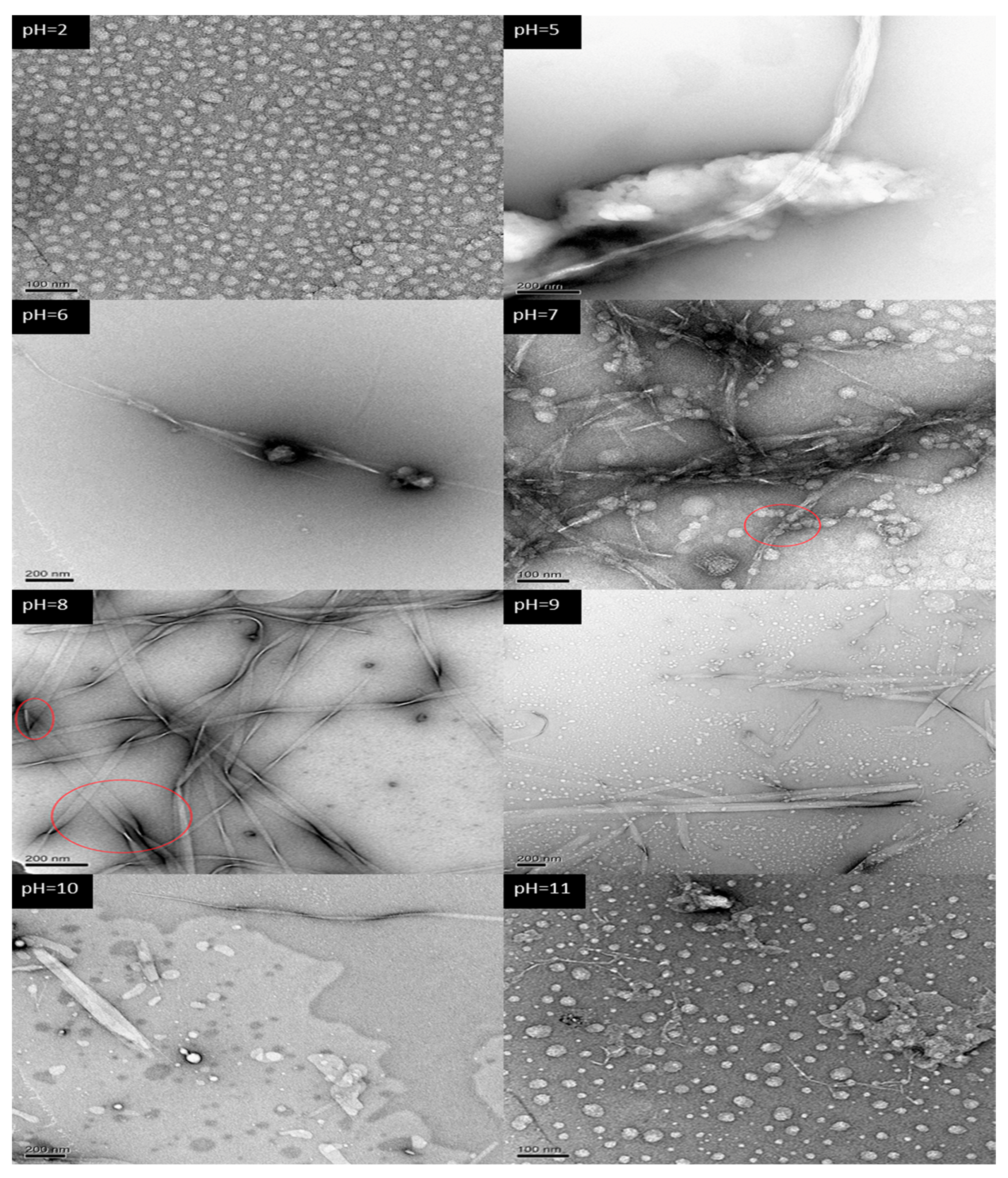 Molecules 25 02017 g002