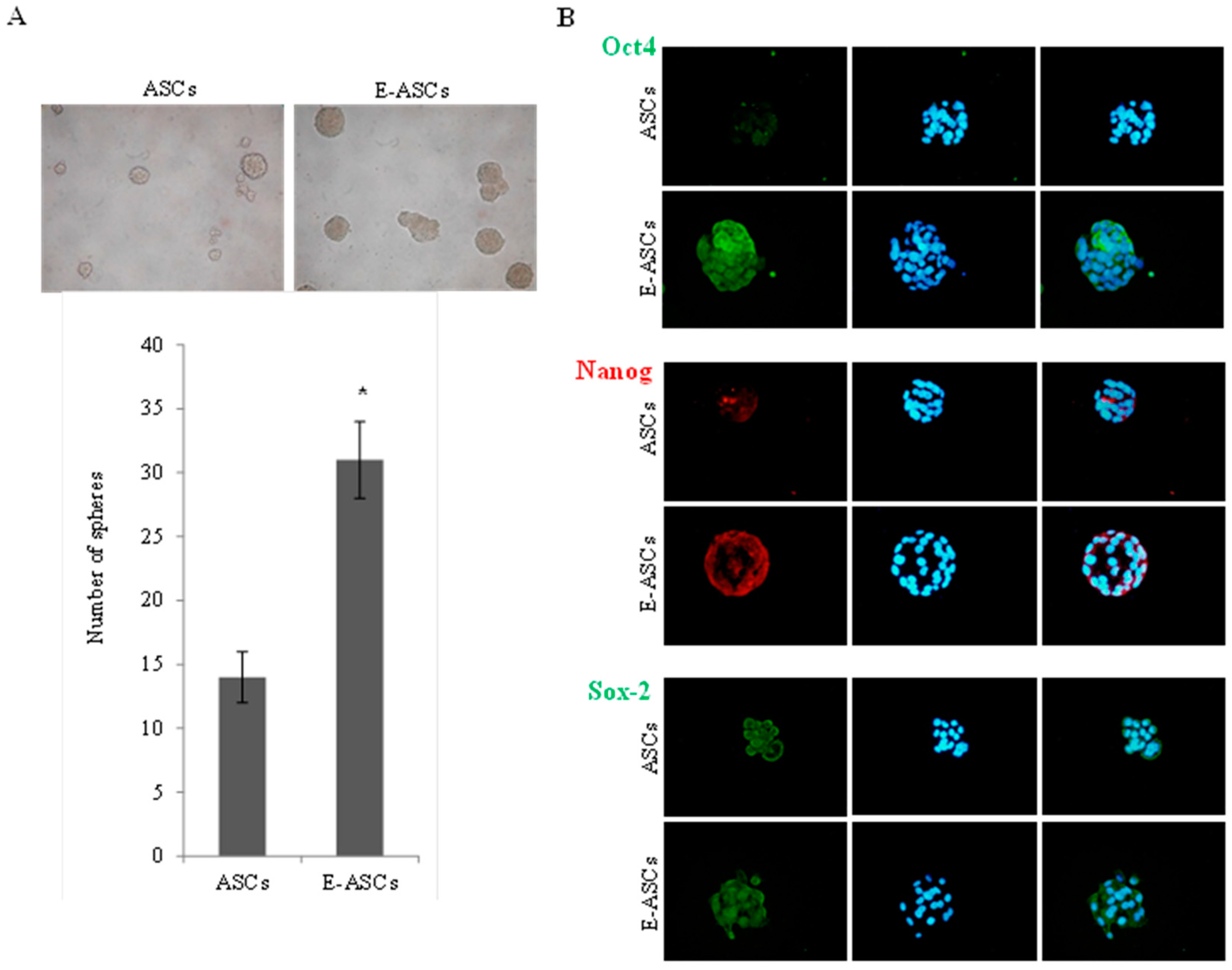 Molecules 25 02020 g003