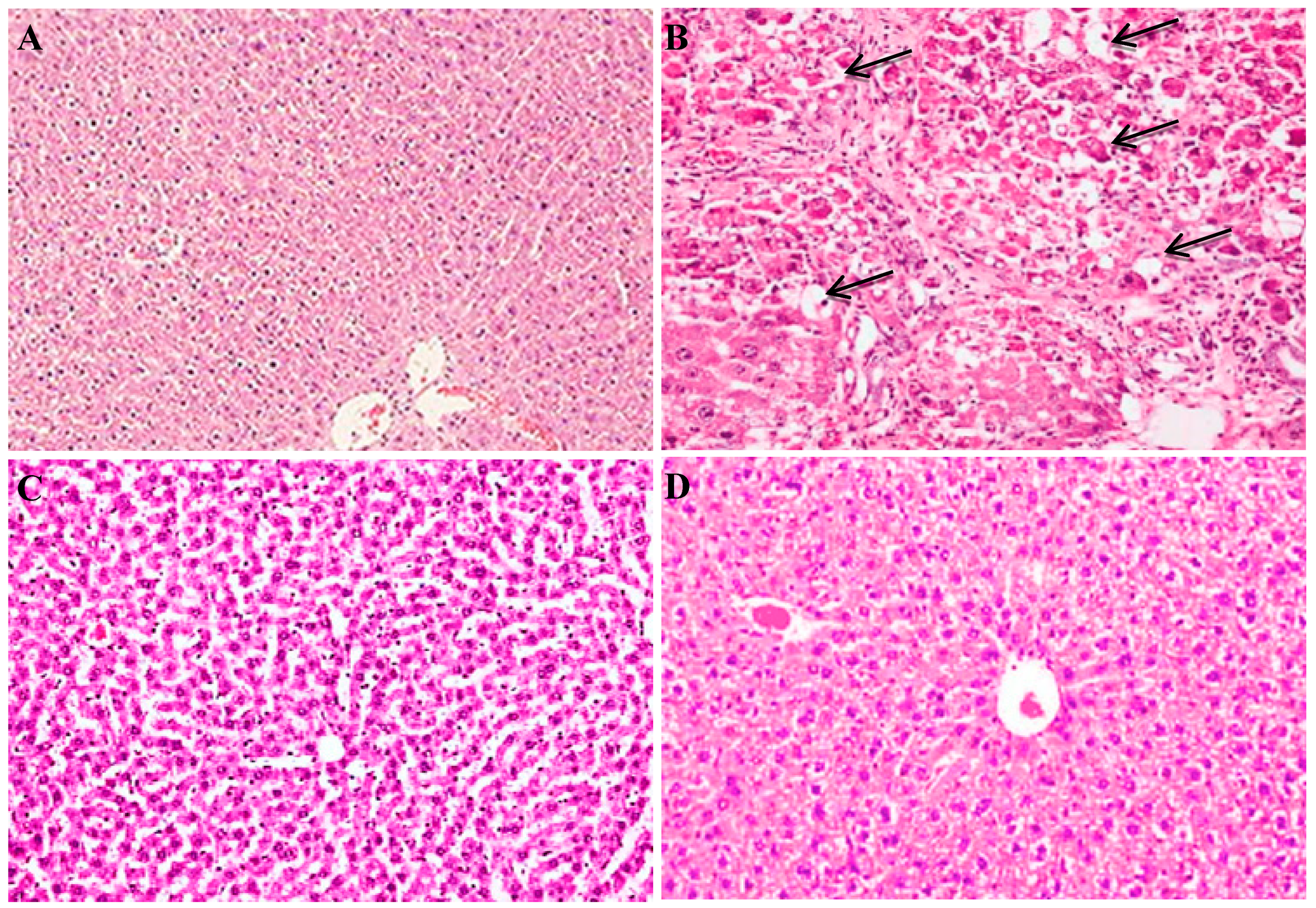 Molecules 25 02020 g007
