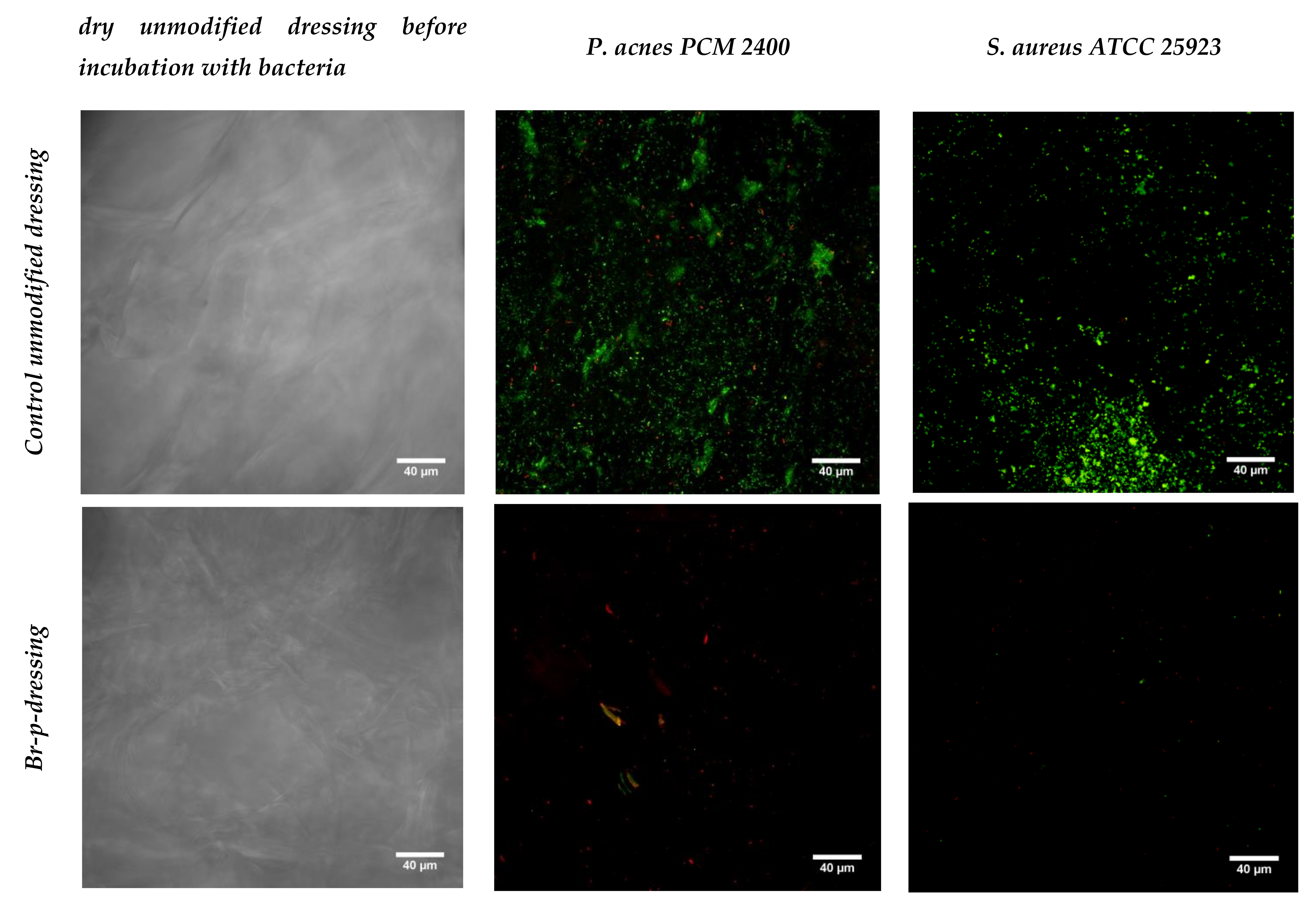 Molecules 25 02027 g005 Molecules 25 02027 g005