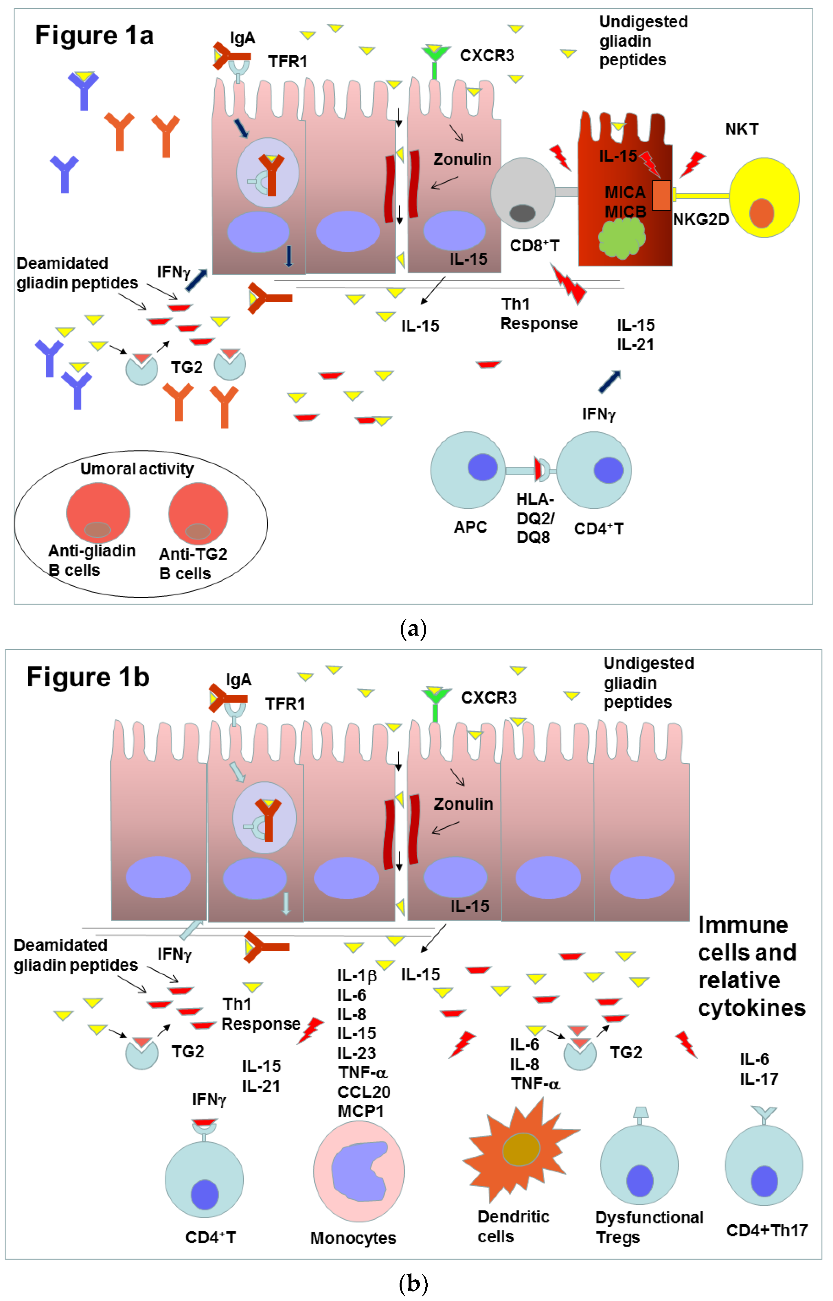 Molecules 25 02041 g001 Molecules 25 02041 g001
