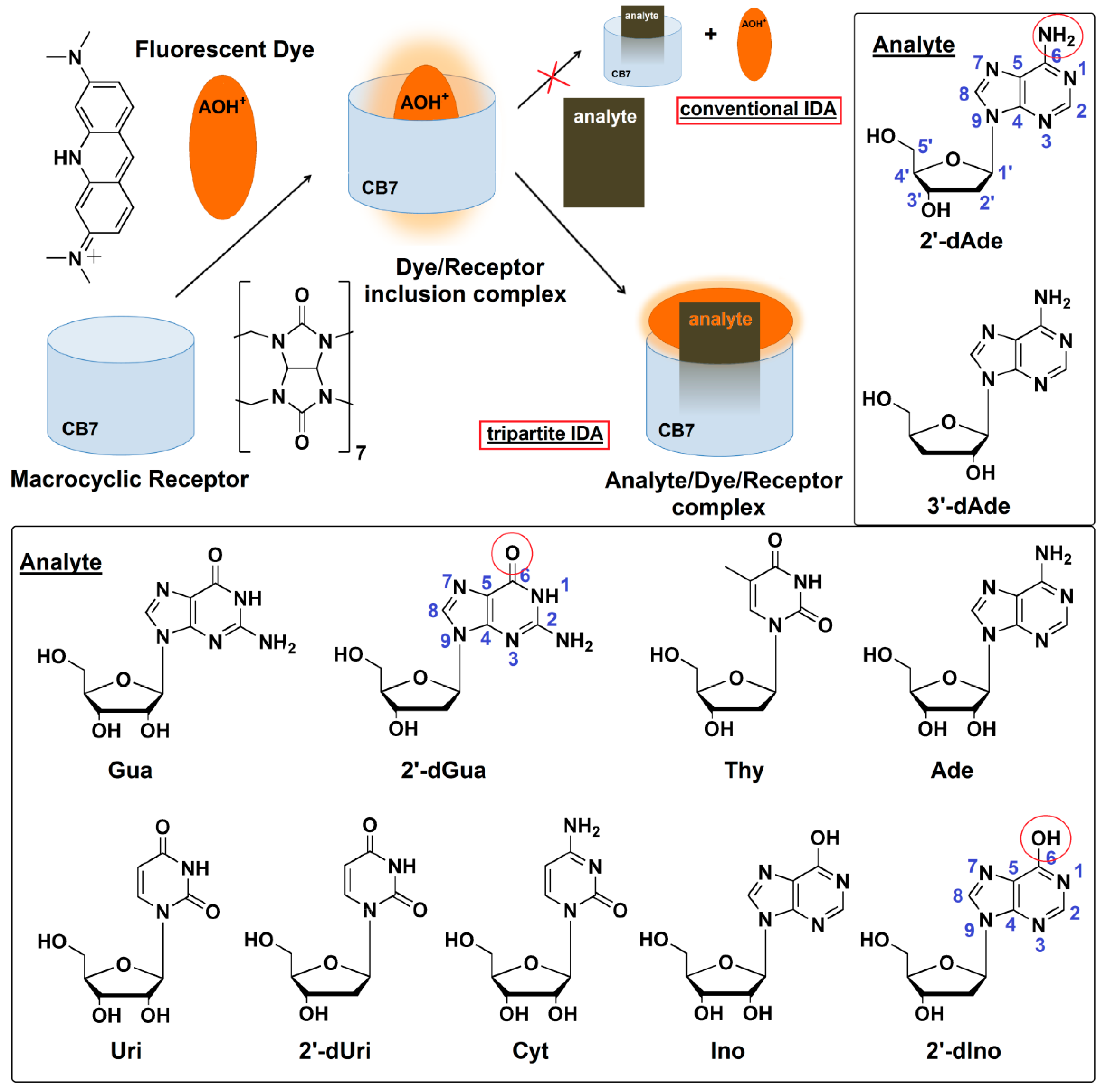 Molecules 25 02045 g001
