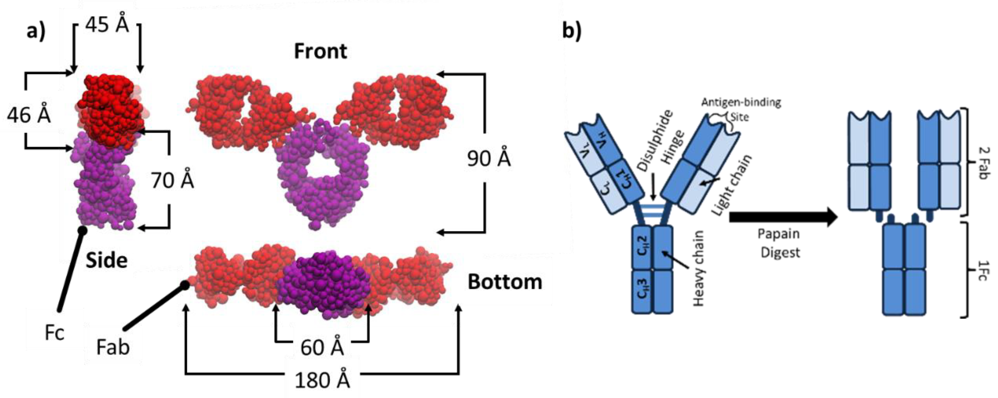 Molecules 25 02047 g002