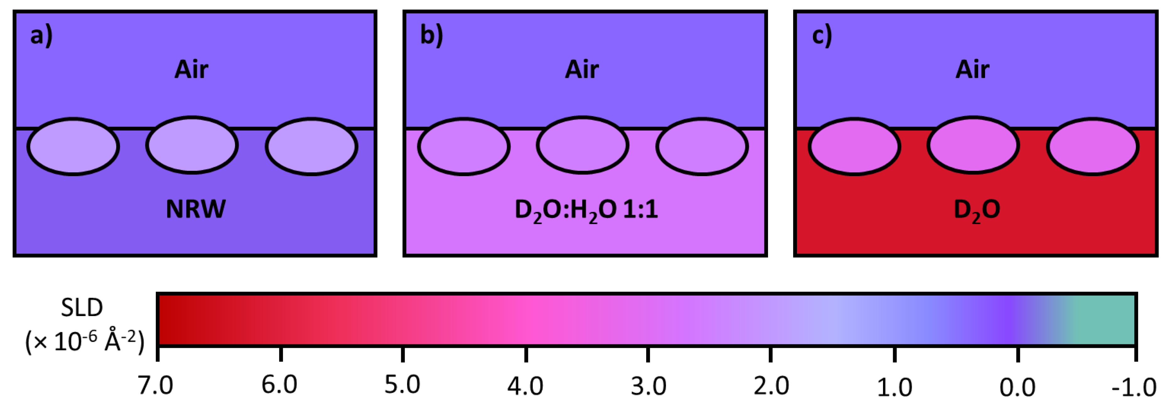 Molecules 25 02047 g005